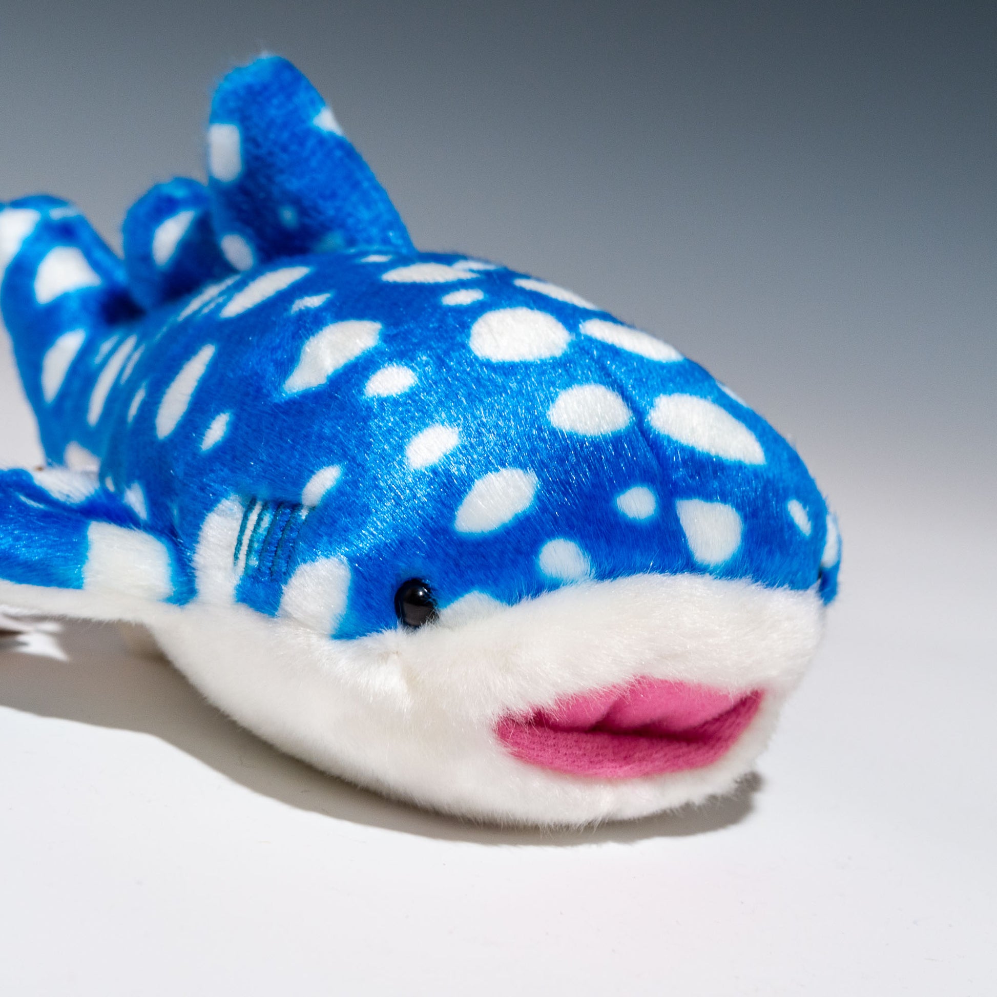 アクア AQUA ぬいぐるみ ジンベエザメ S 00100250 右横顔