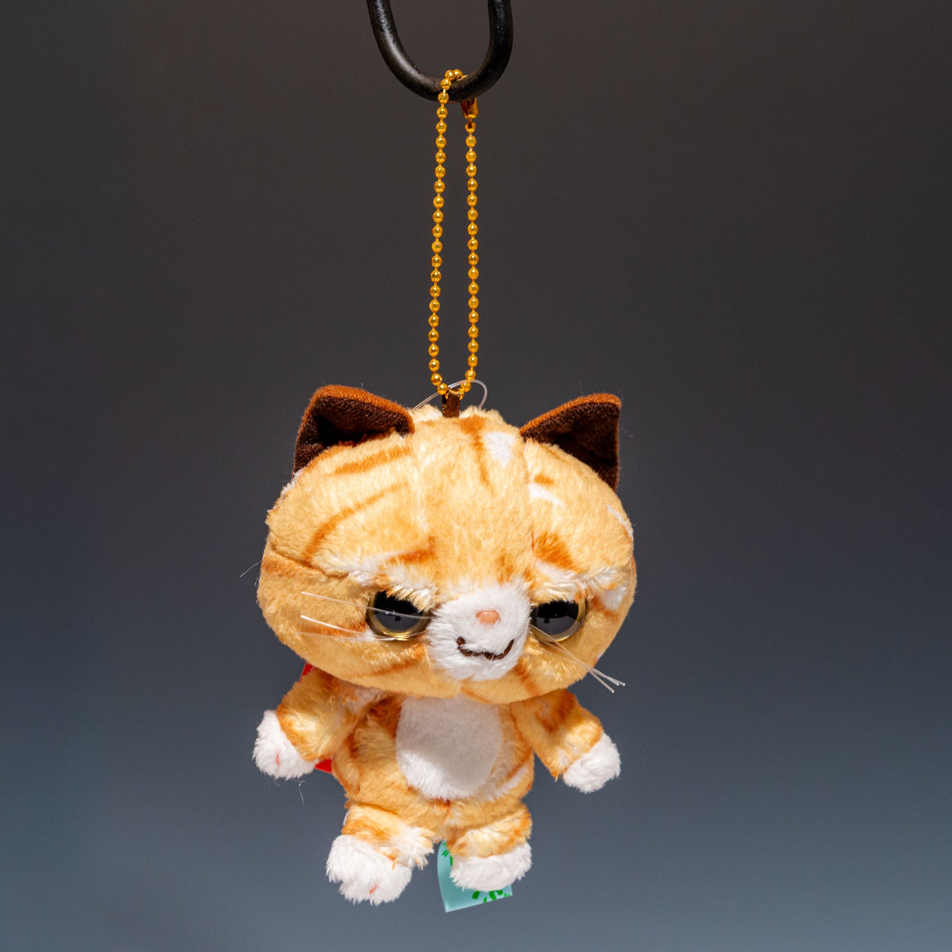 内藤デザイン研究所 ぬいぐるみ ちいさなともだち「ビッツ」マスコット タビー 正面