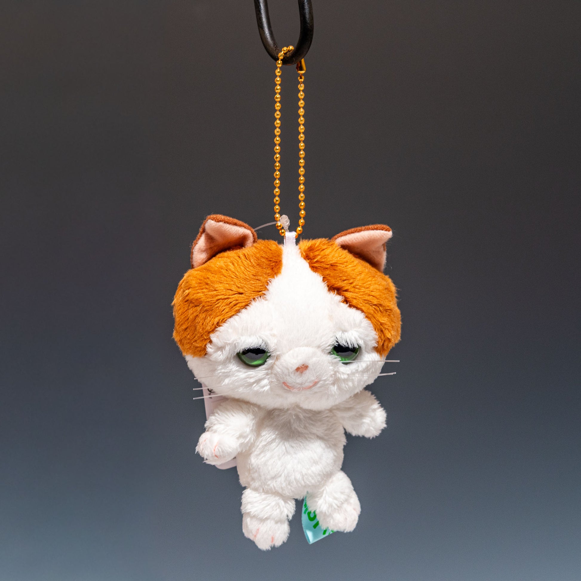 内藤デザイン研究所 ぬいぐるみ ちいさなともだち「ビッツ」マスコット ツートン 正面