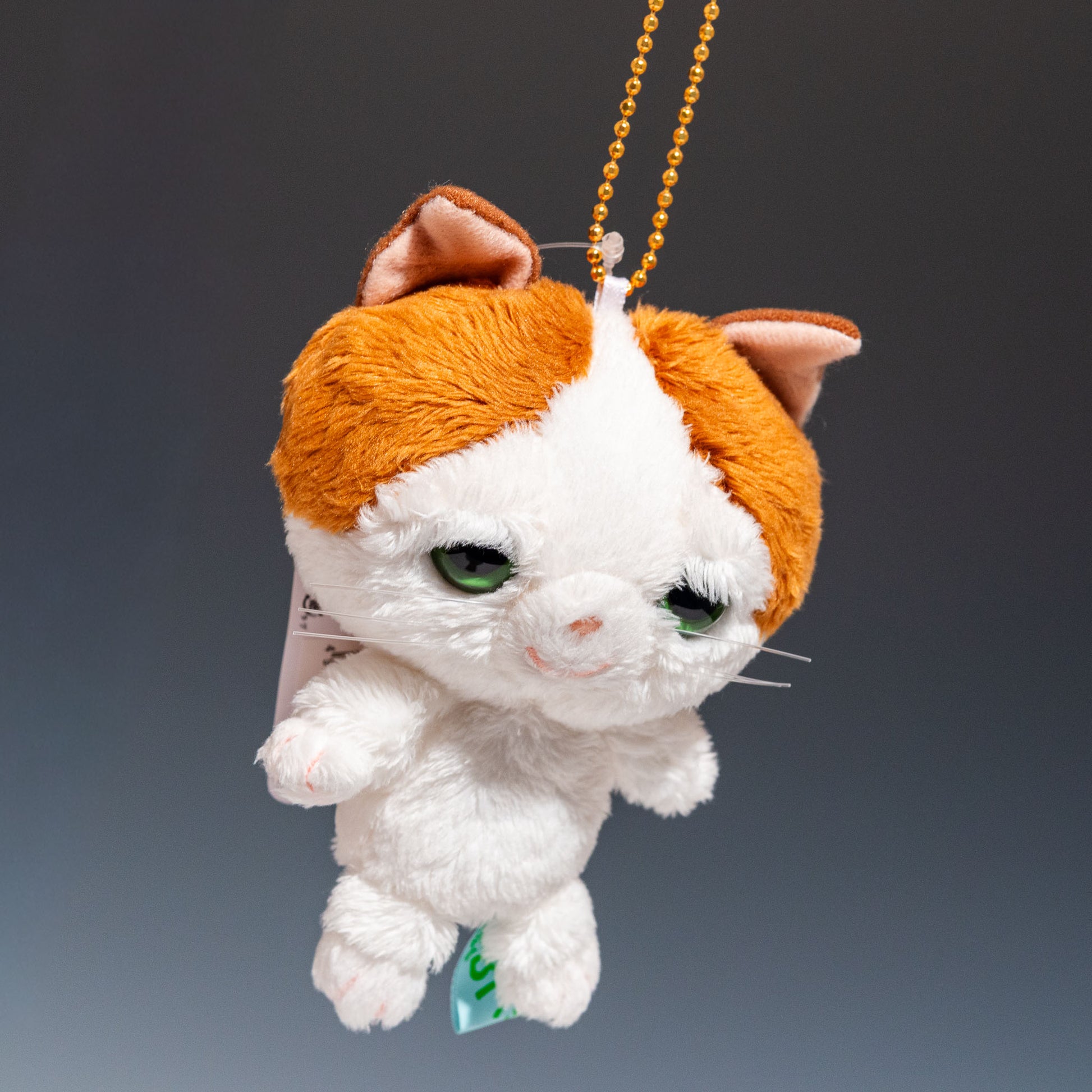 内藤デザイン研究所 ぬいぐるみ ちいさなともだち「ビッツ」マスコット ツートン 左横