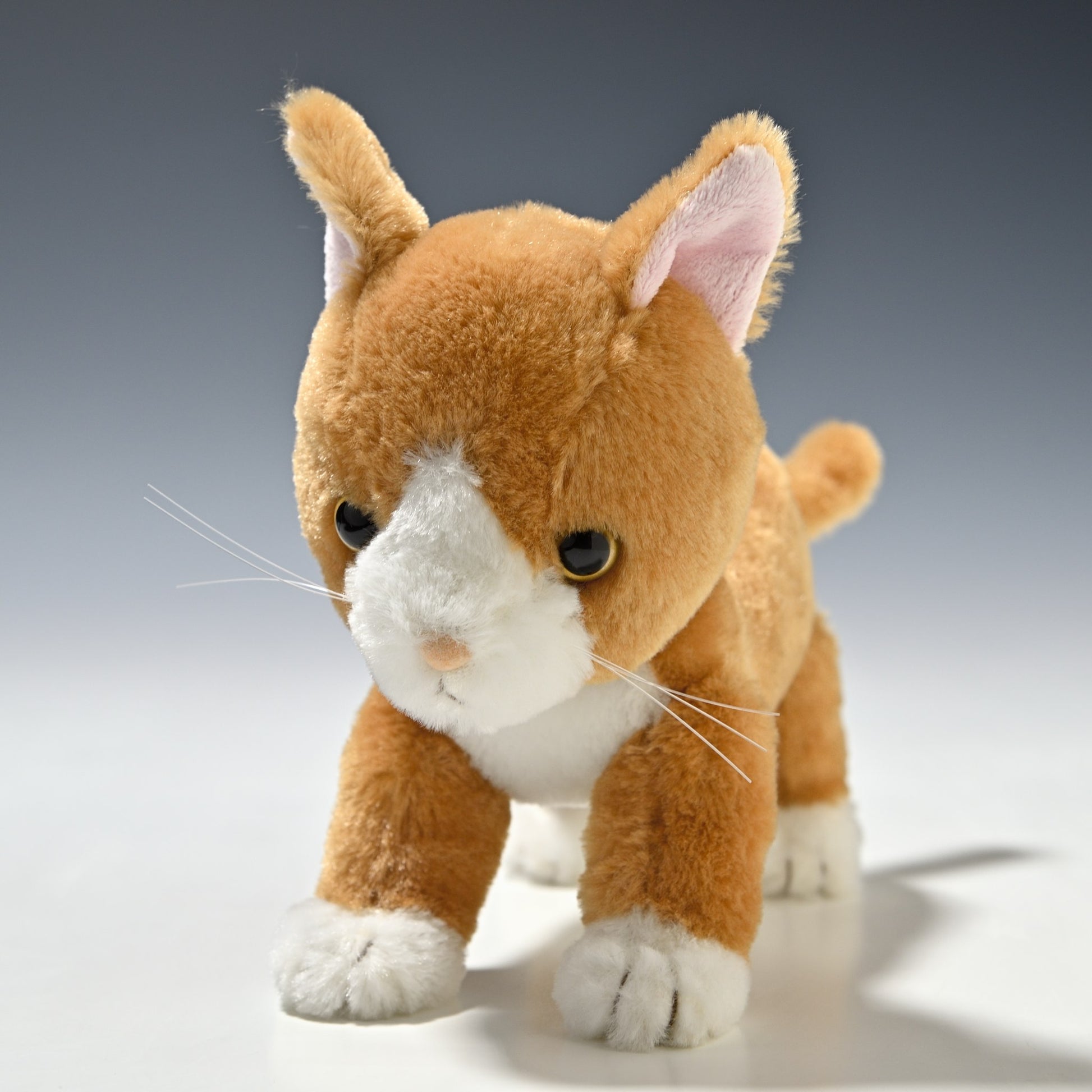 シナダ SHINADA ぬいぐるみ いっしょね ちゃしろねこ ISCC-0198 正面