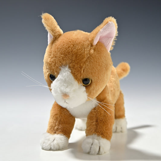 シナダ SHINADA ぬいぐるみ いっしょね ちゃしろねこ ISCC-0198 正面