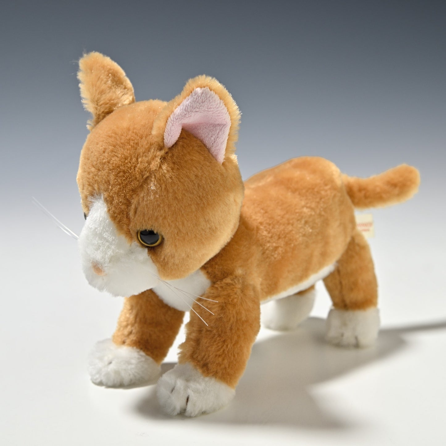 シナダ SHINADA ぬいぐるみ いっしょね ちゃしろねこ ISCC-0198 右横