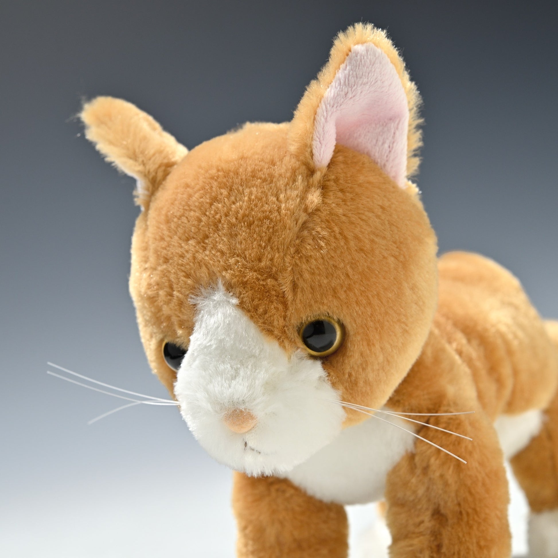 シナダ SHINADA ぬいぐるみ いっしょね ちゃしろねこ ISCC-0198 左横顔
