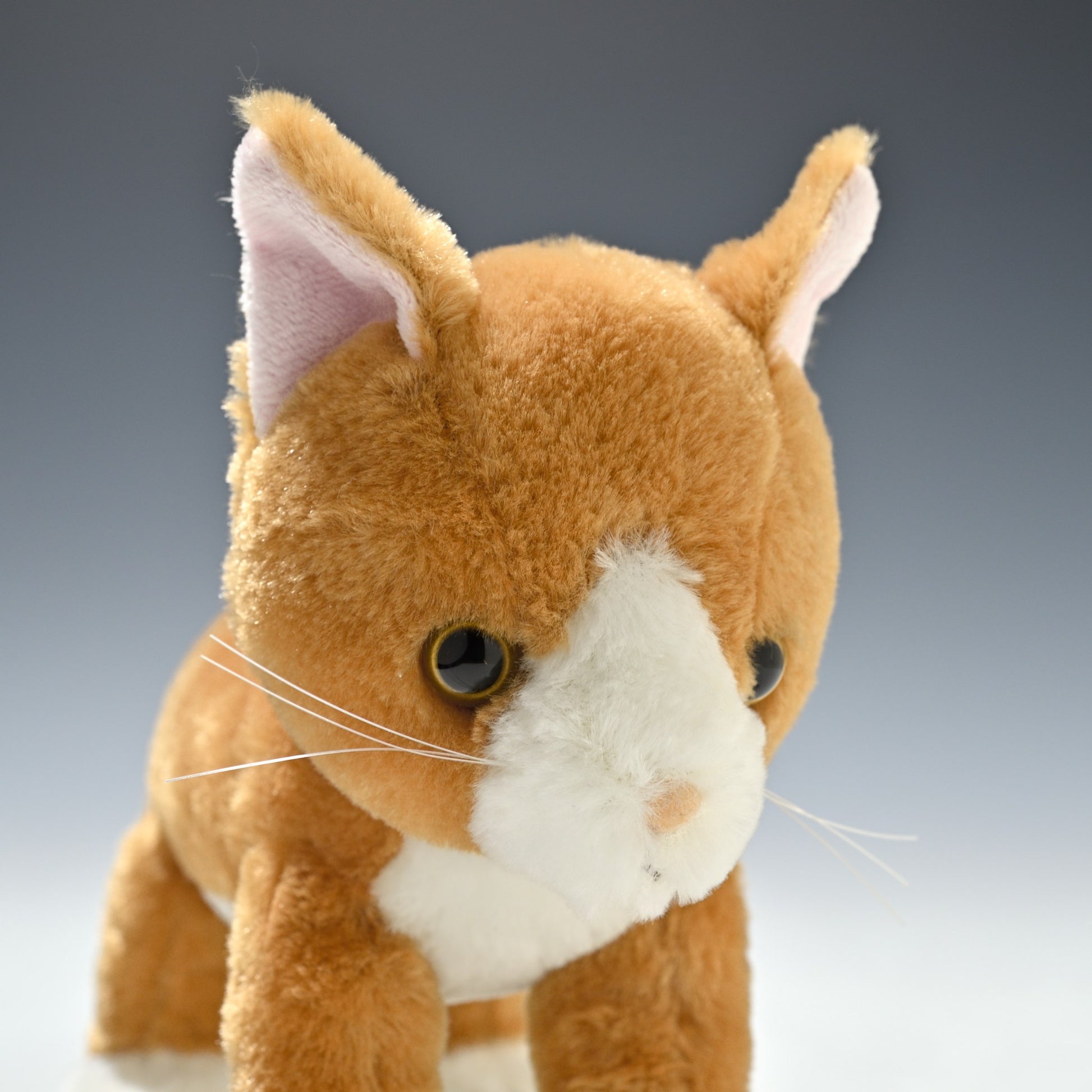 シナダ SHINADA ぬいぐるみ いっしょね ちゃしろねこ ISCC-0198 右横顔