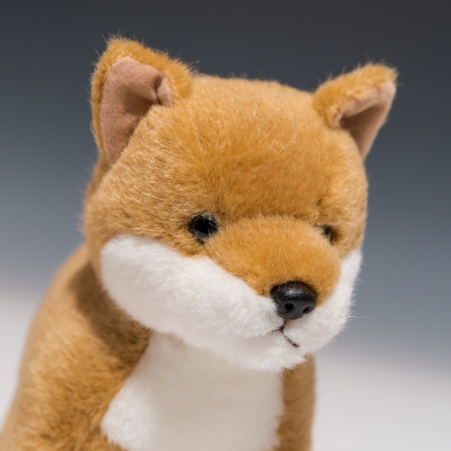 スターチャイルド STAR CHILD ぬいぐるみ 柴犬 立型 1540 左横顔