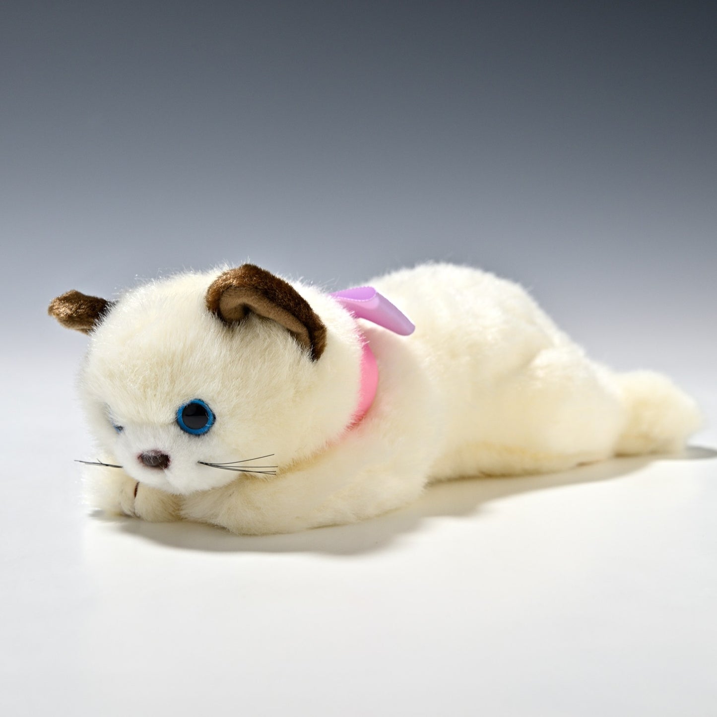 たけのこ TAKENOKO ぬいぐるみ リボンネコ シャムネコ 15783 右横