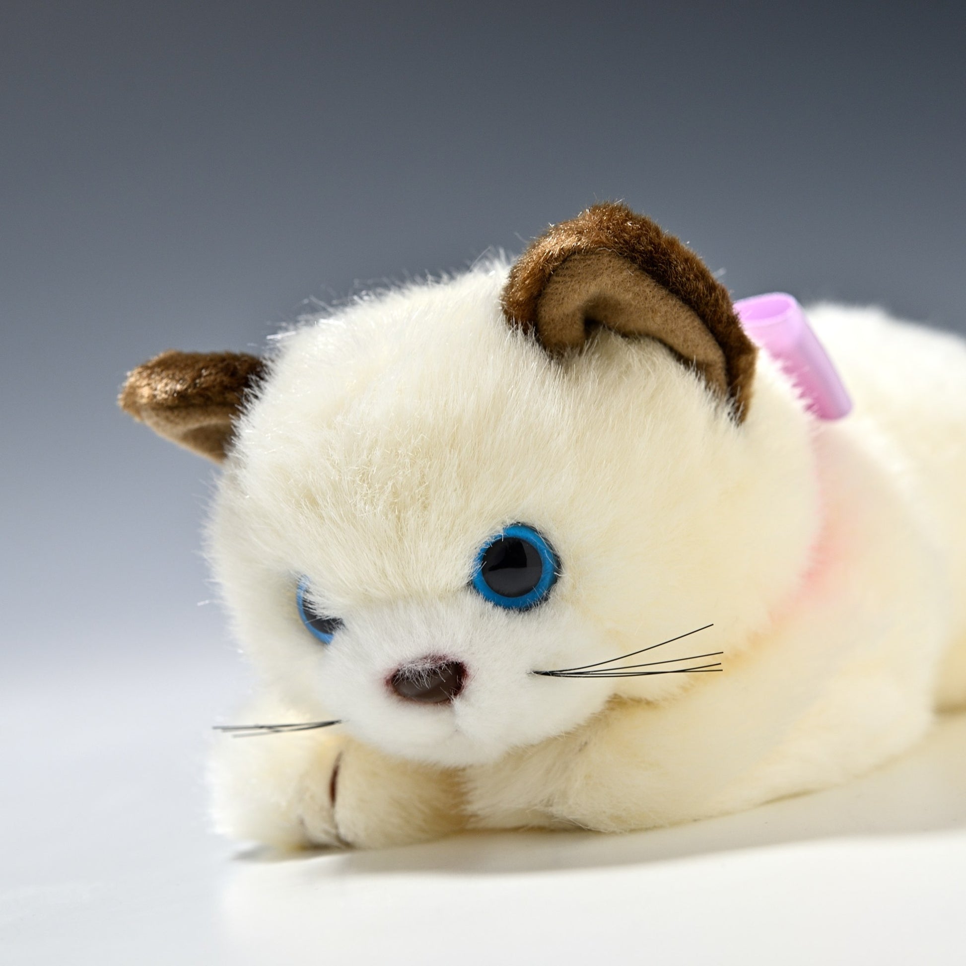 たけのこ TAKENOKO ぬいぐるみ リボンネコ シャムネコ 15783 左横顔