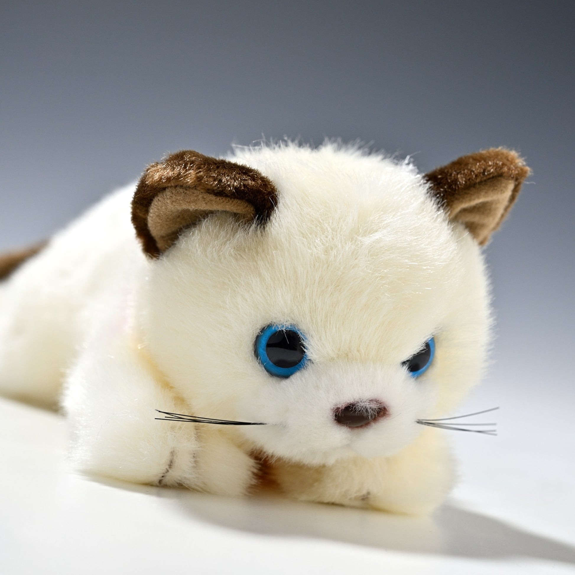 たけのこ TAKENOKO ぬいぐるみ リボンネコ シャムネコ 15783 右横顔