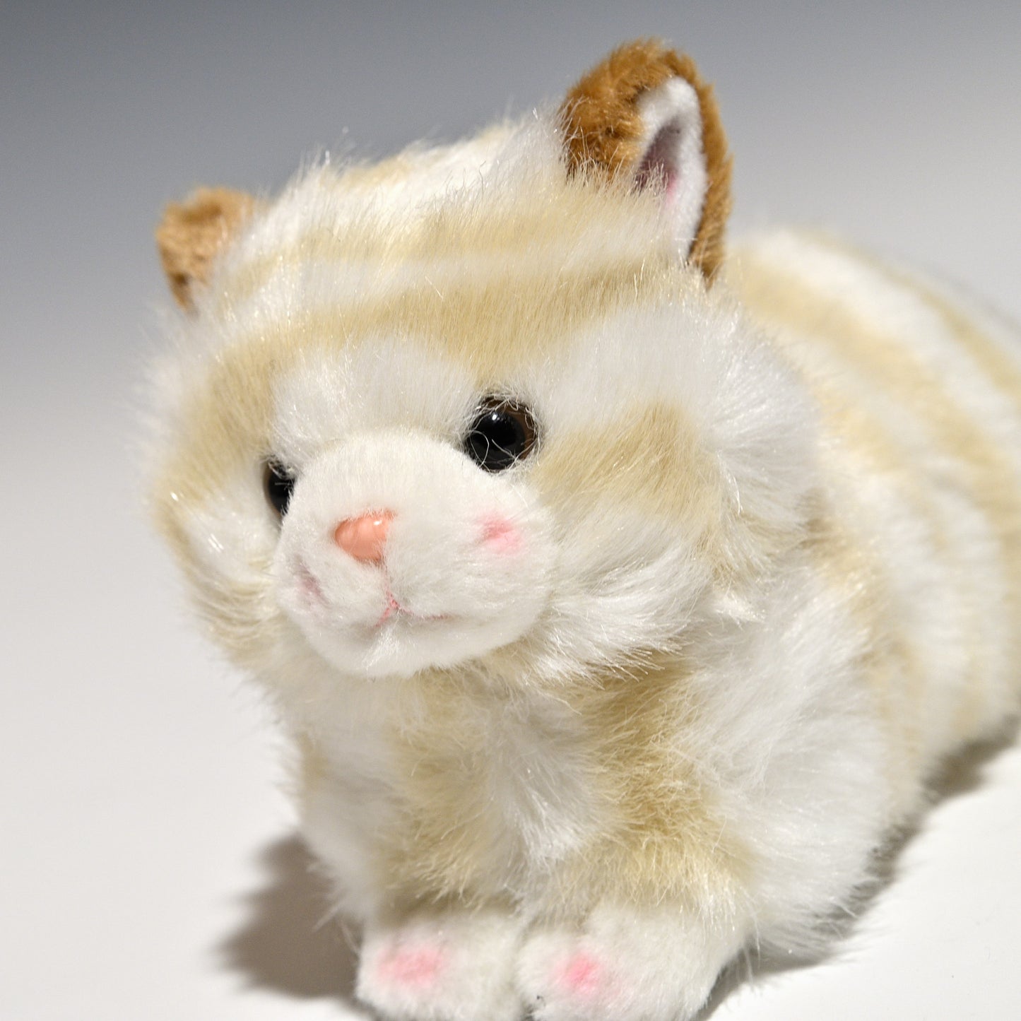たけのこ TAKENOKO ぬいぐるみ プチどりーむ ミニ (A) ネコ ベージュ 95007 左横顔