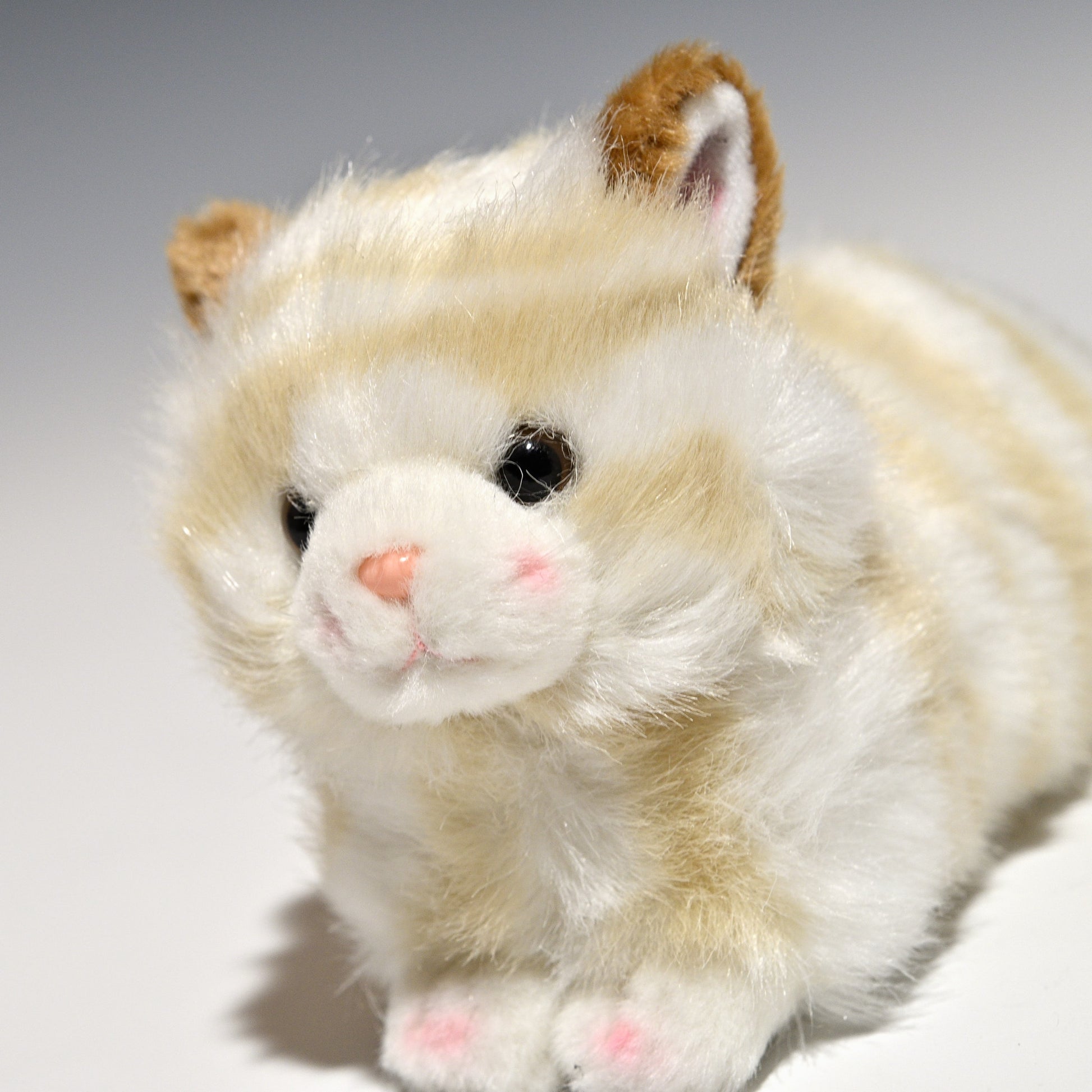 たけのこ TAKENOKO ぬいぐるみ プチどりーむ ミニ (A) ネコ ベージュ 95007 左横顔