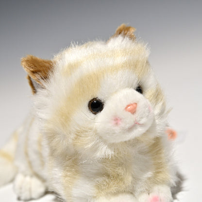 たけのこ TAKENOKO ぬいぐるみ プチどりーむ ミニ (A) ネコ ベージュ 95007 右横顔