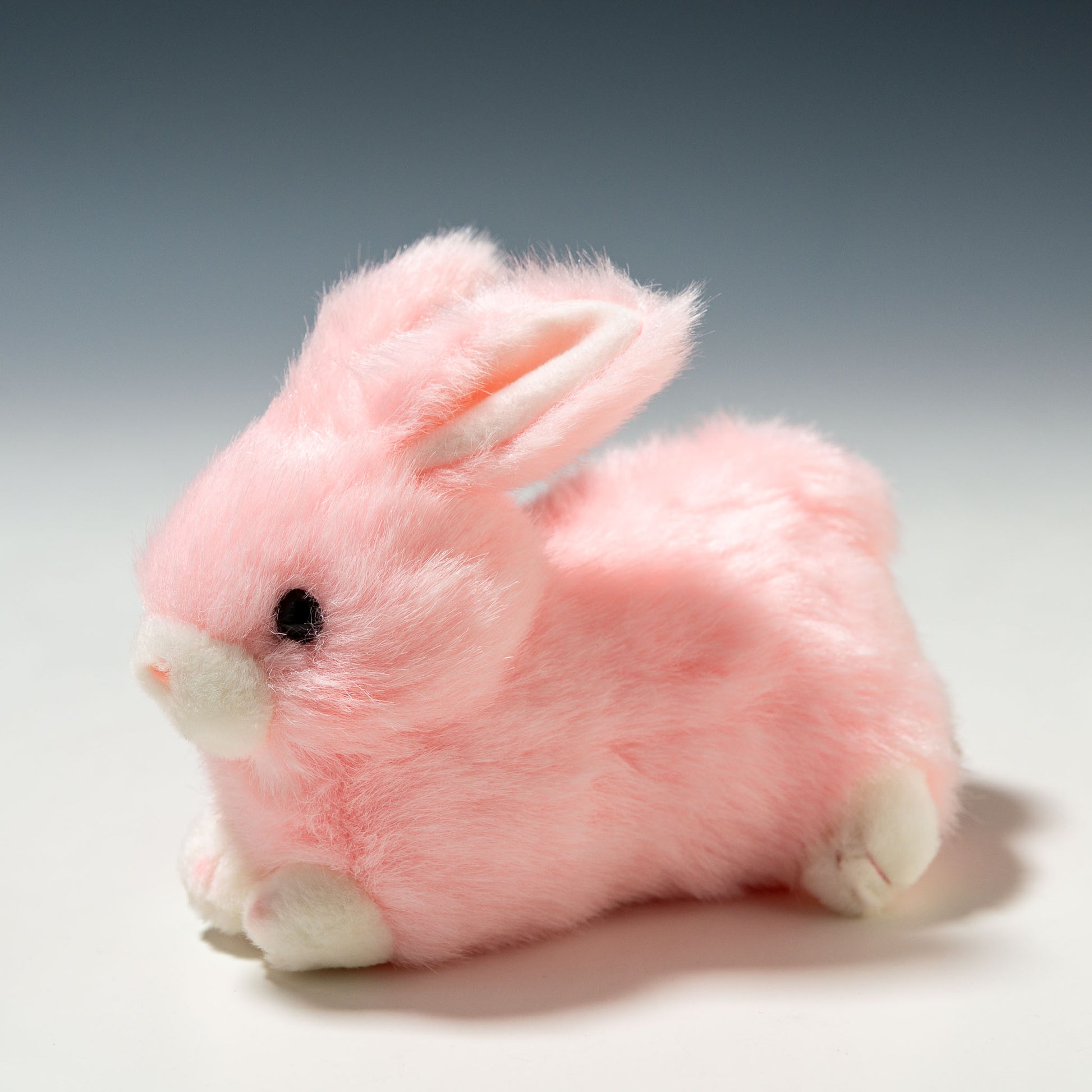 たけのこ TAKENOKO ぬいぐるみ プチどりーむ ミニ (A) ウサギ ピンク 95012 右横