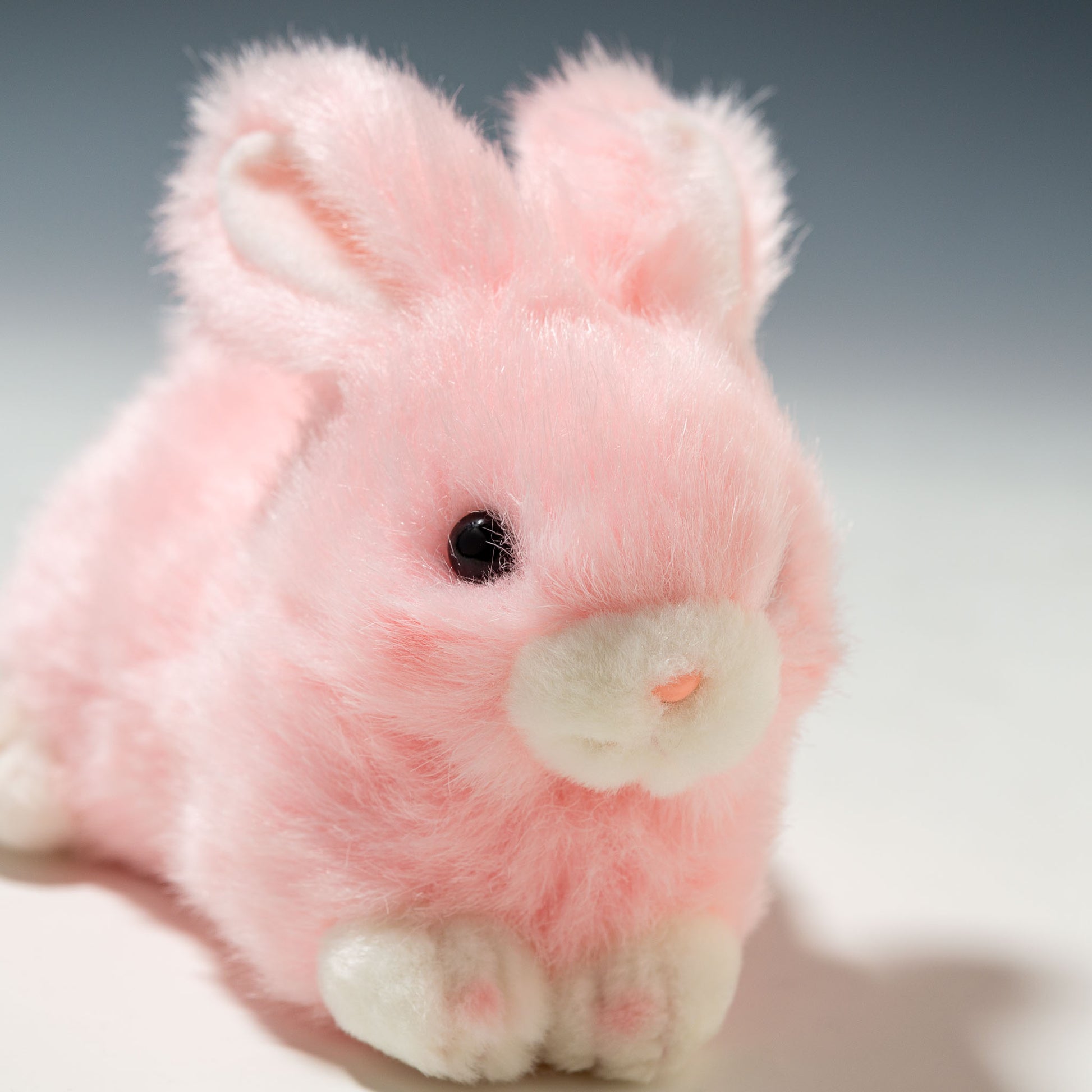 たけのこ TAKENOKO ぬいぐるみ プチどりーむ ミニ (A) ウサギ ピンク 95012 右横顔
