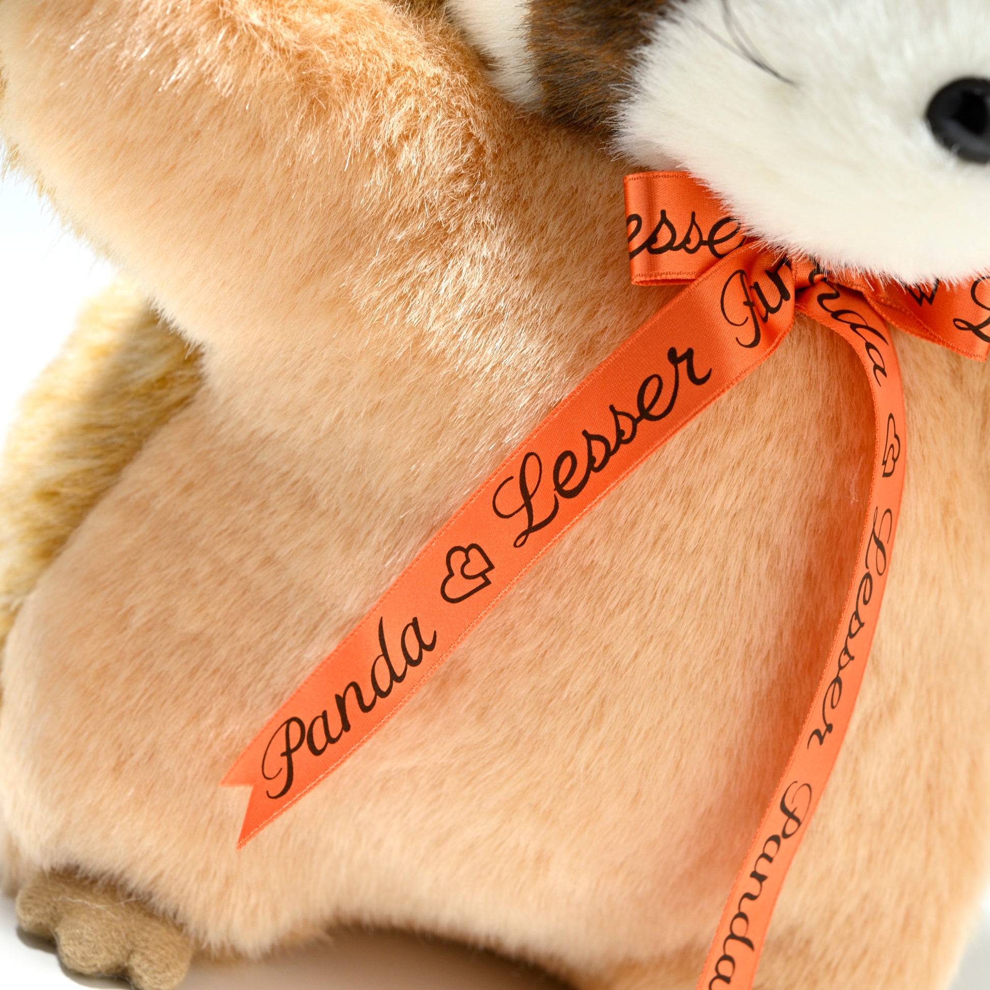 たけのこ TAKENOKO ぬいぐるみ レッサーパンダ SM 茶 28111 リボンアップ