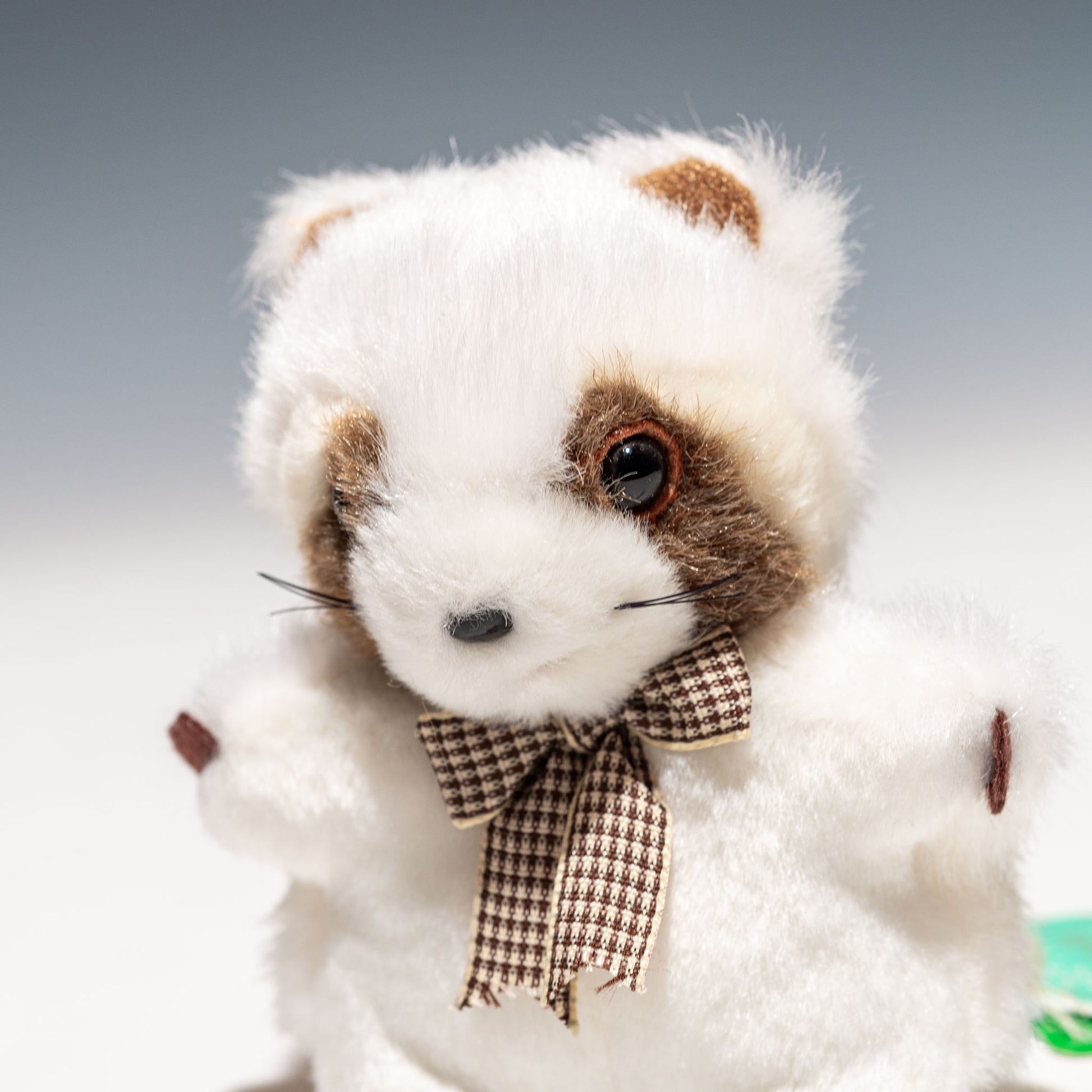 たけのこ TAKENOKO ぬいぐるみ プチプチらんど レッサーパンダ 白 58415 左横顔