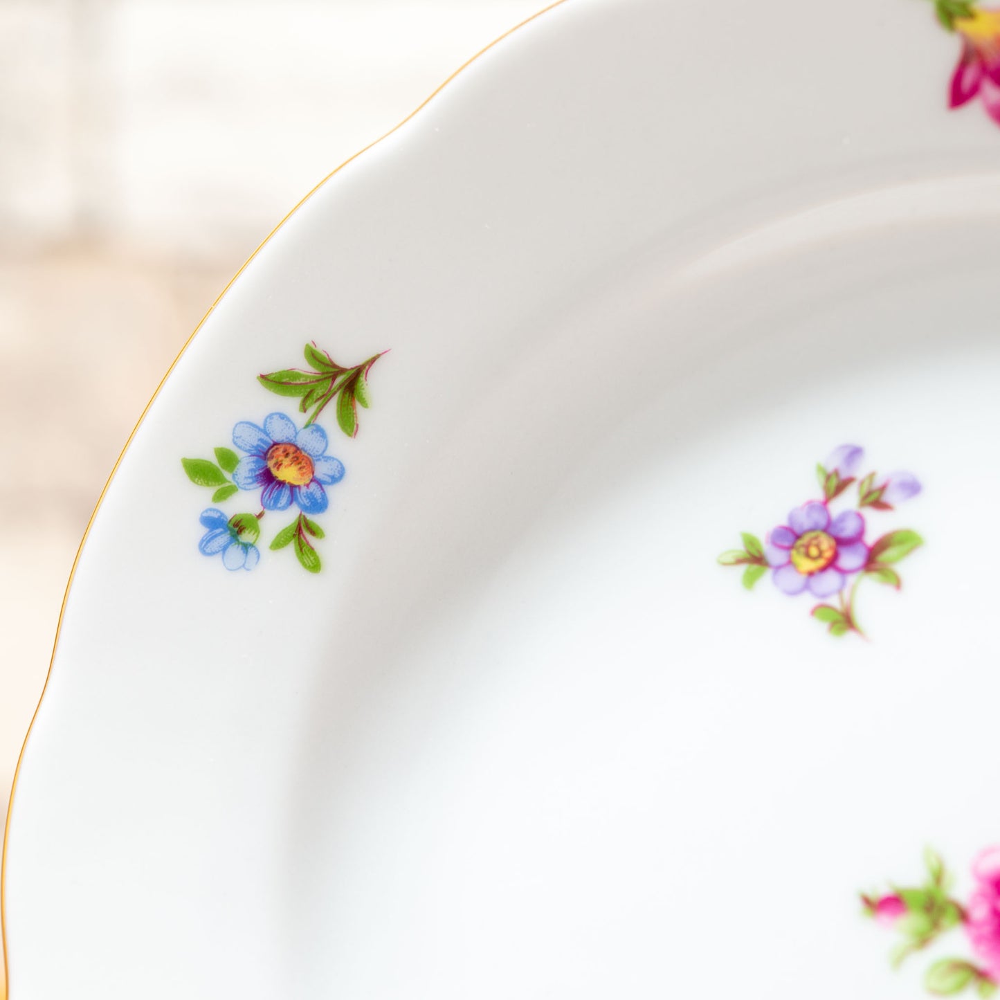 ドイツ製 キッチン雑貨 TRIPTIS PORZELLAN 磁器製 ホワイトプレート アップ2