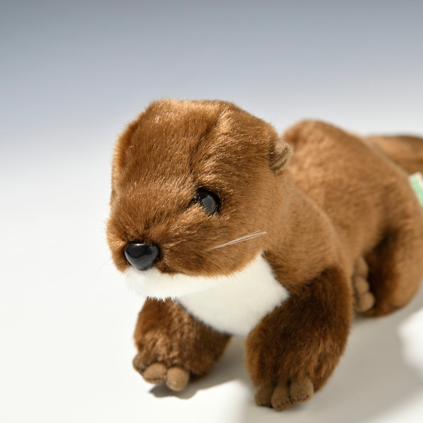 たけのこ TAKENOKO ぬいぐるみ マリンシリーズ カワウソ M ブラウン 14814 左横顔