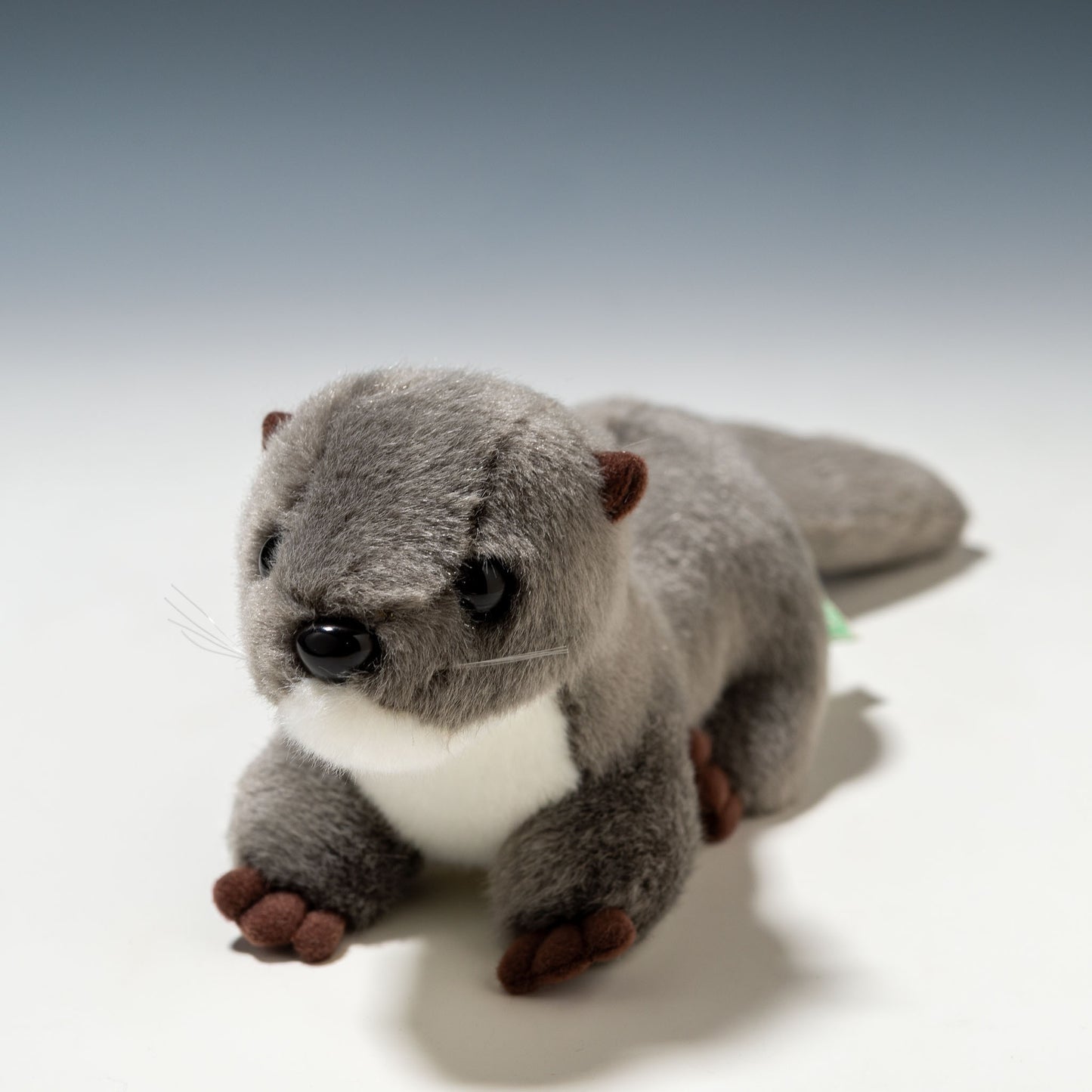 たけのこ TAKENOKO ぬいぐるみ マリンシリーズ カワウソ M グレー 14813 しょう正面