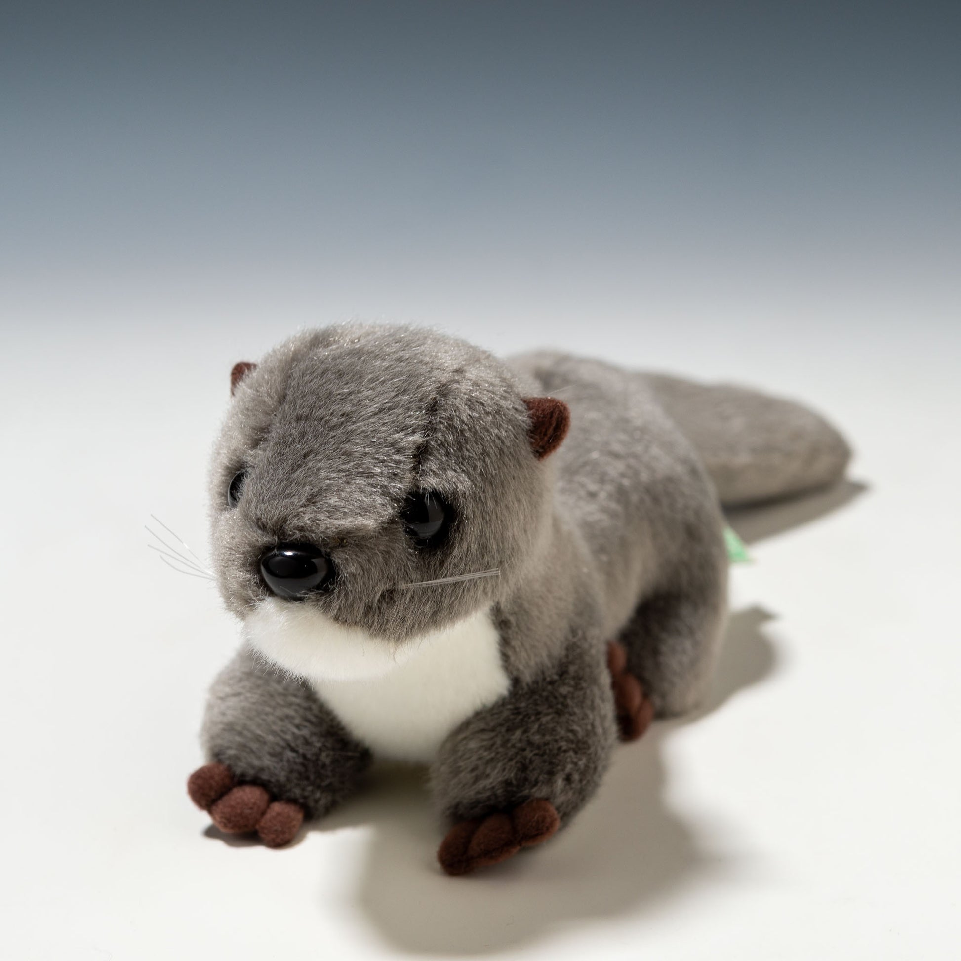 たけのこ TAKENOKO ぬいぐるみ マリンシリーズ カワウソ M グレー 14813 しょう正面