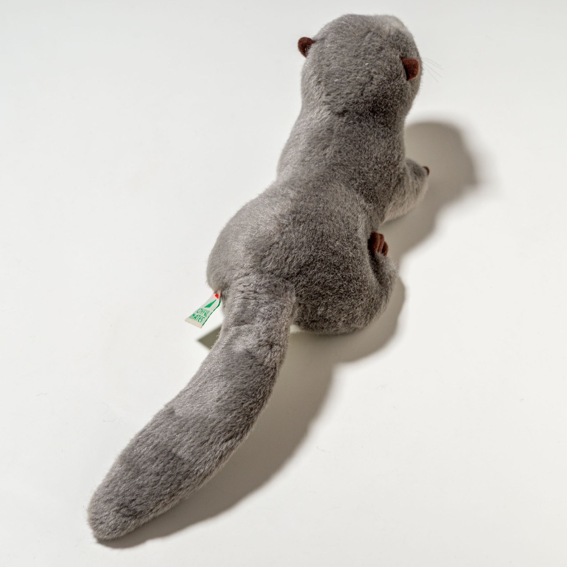 たけのこ TAKENOKO ぬいぐるみ マリンシリーズ カワウソ M グレー 14813 後ろ