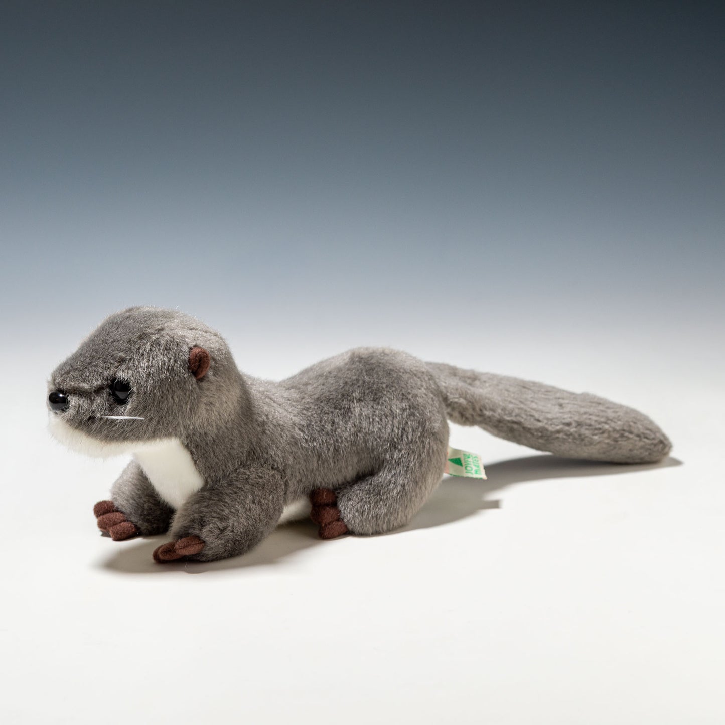 たけのこ TAKENOKO ぬいぐるみ マリンシリーズ カワウソ M グレー 14813 右横