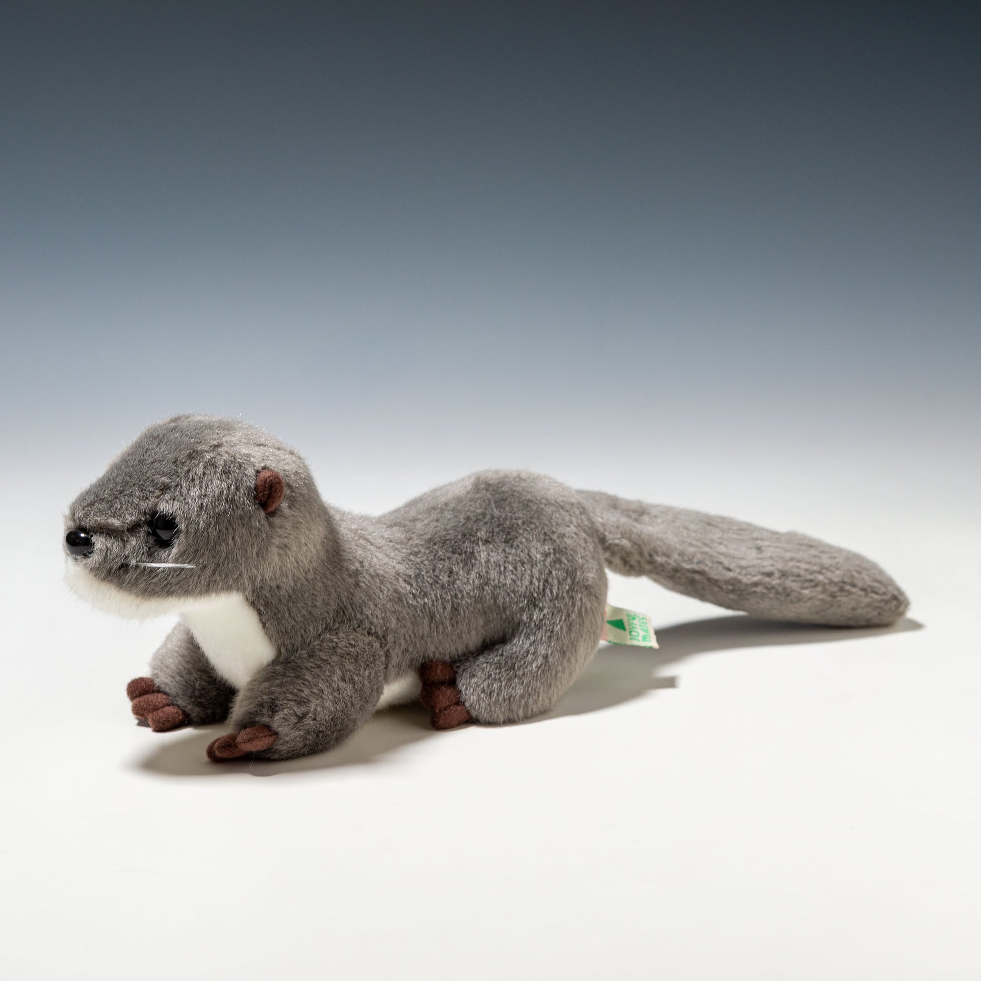 たけのこ TAKENOKO ぬいぐるみ マリンシリーズ カワウソ M グレー 14813 右横