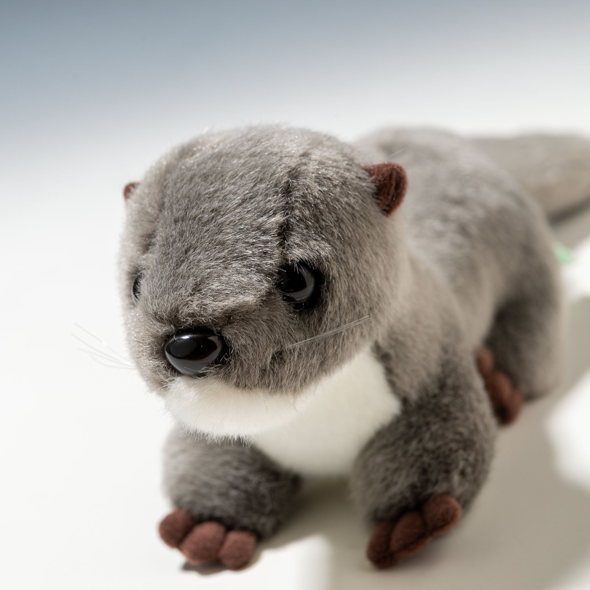 たけのこ TAKENOKO ぬいぐるみ マリンシリーズ カワウソ M グレー