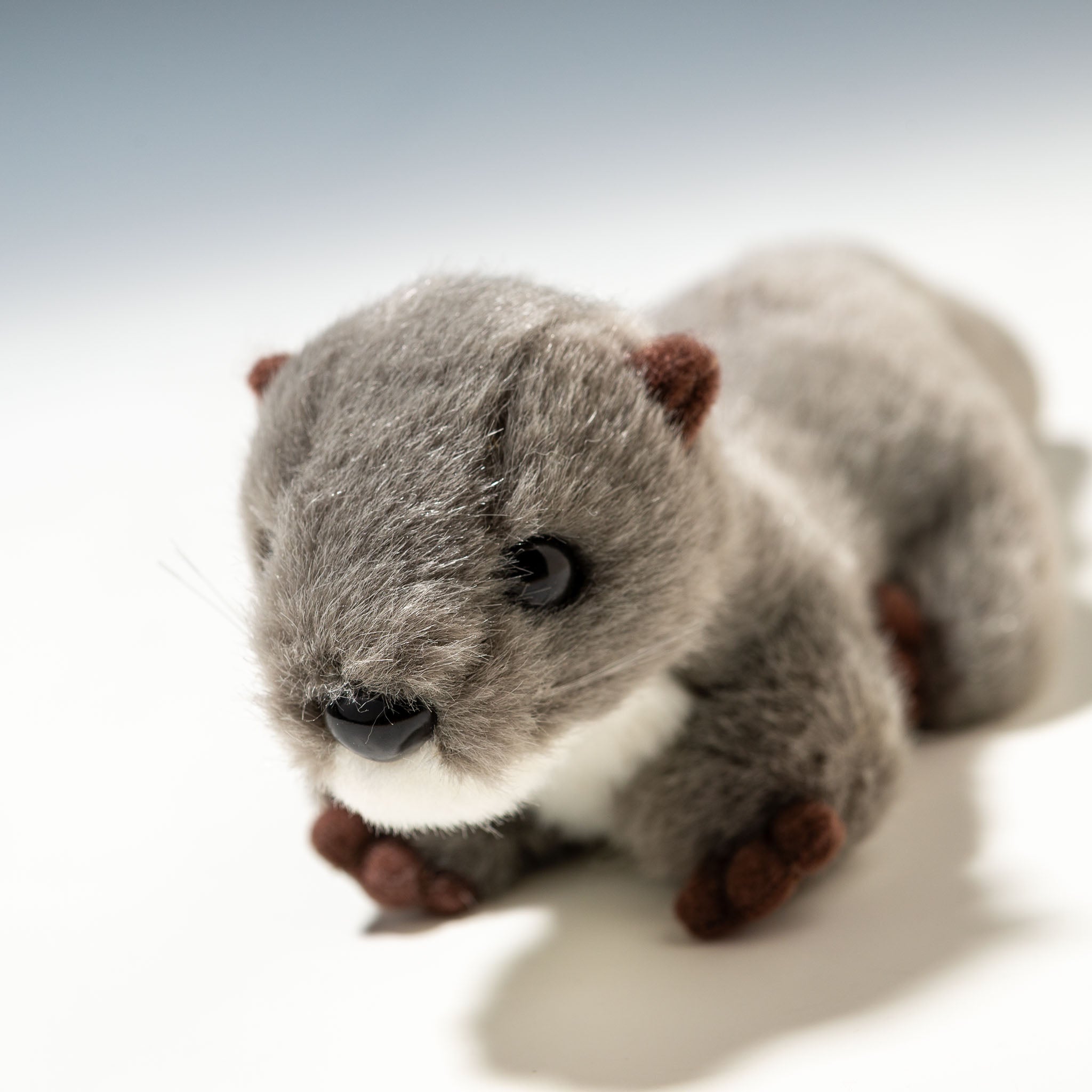 たけのこ TAKENOKO ぬいぐるみ マリンシリーズ カワウソ S グレー