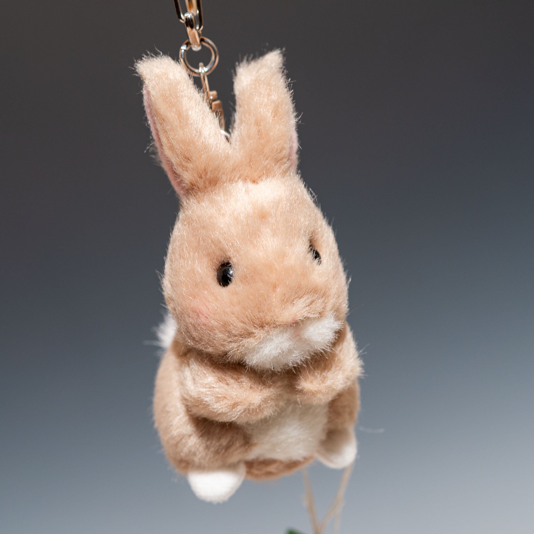 商品紹介 クマ モンブラン ぬくぬくベア キュートベア MAX POCHA