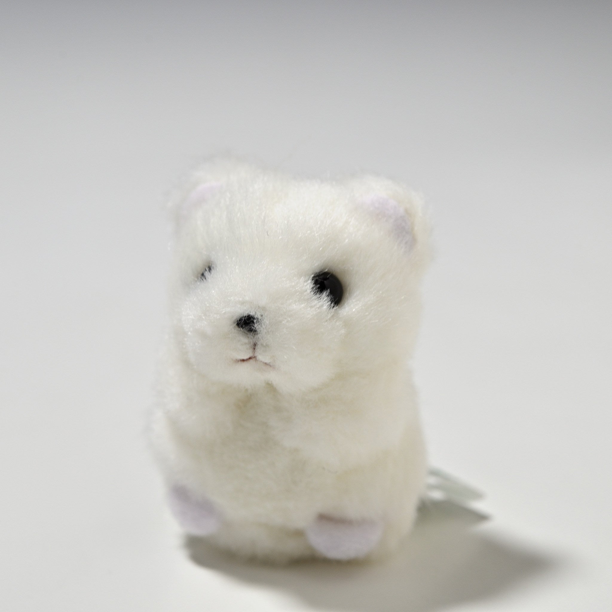 たけのこ TAKENOKO ぬいぐるみ ミニミニキッズ クマ 白 48544