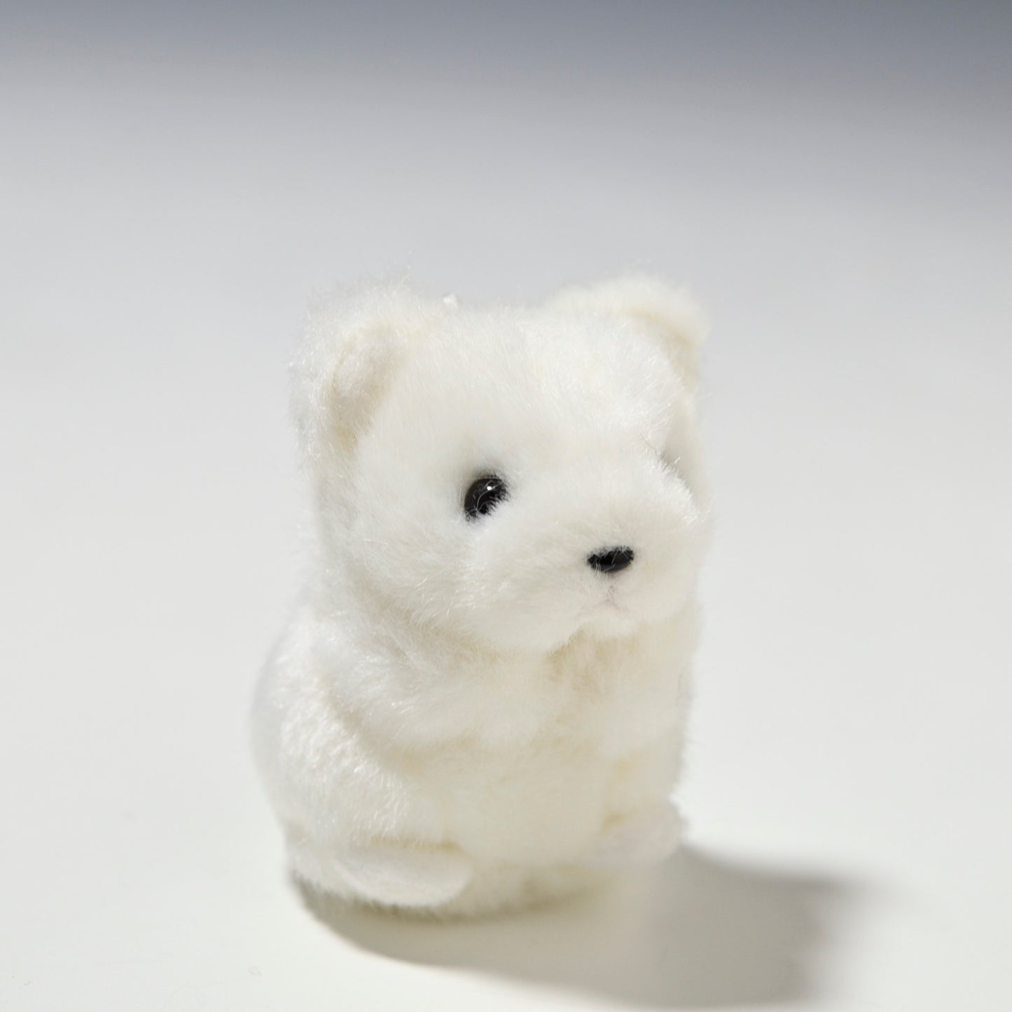 たけのこ TAKENOKO ぬいぐるみ ミニミニキッズ クマ 白 48544 右横顔