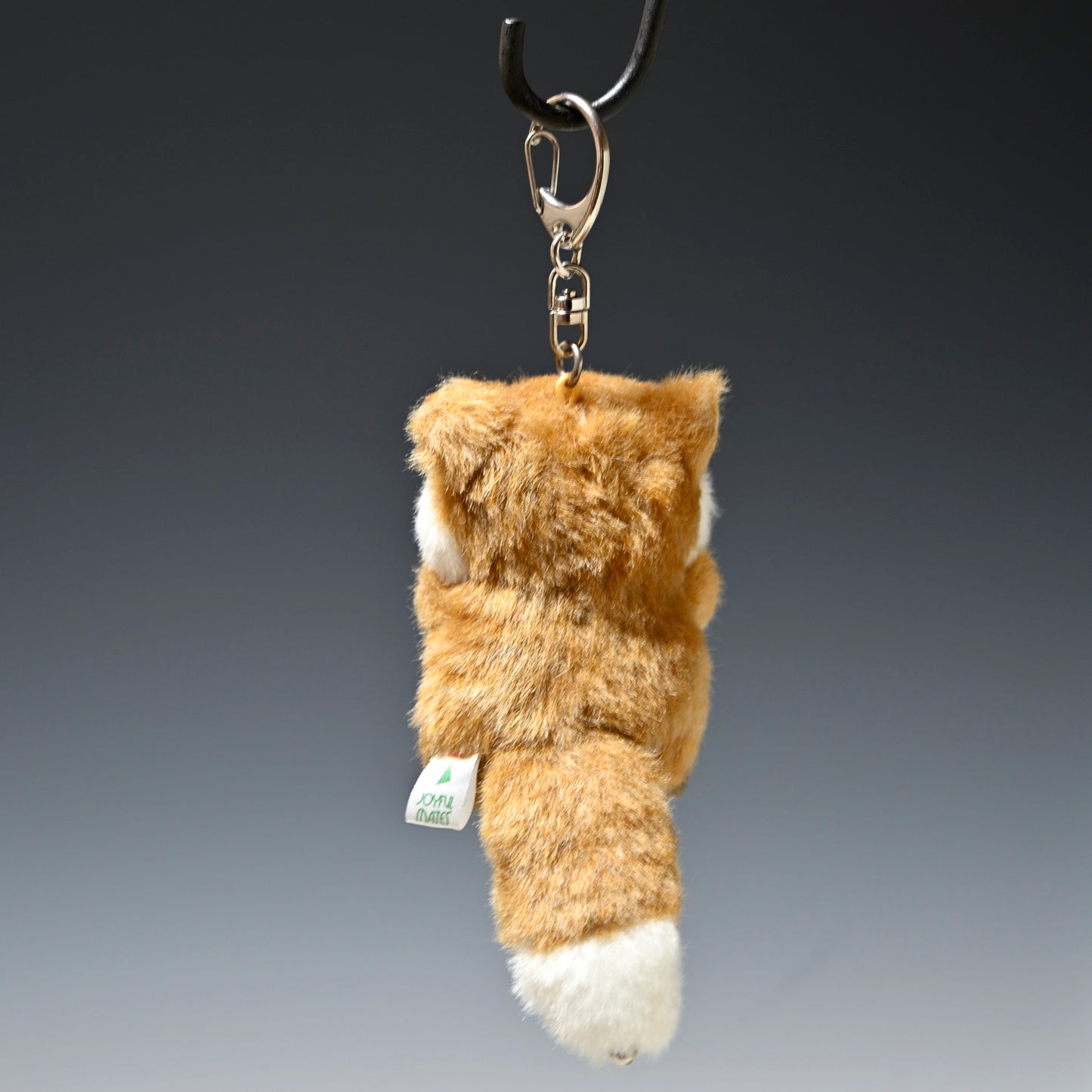 たけのこ TAKENOKO ぬいぐるみ プチ森のなかま キツネ 68438 後ろ