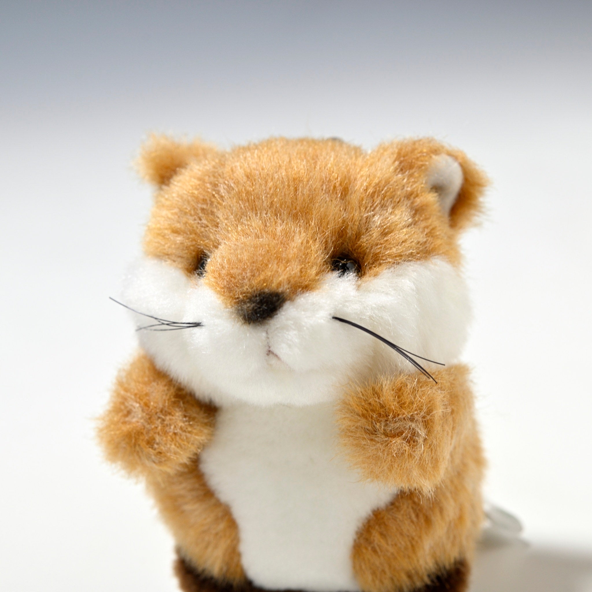 たけのこ TAKENOKO ぬいぐるみ プチ森のなかま キツネ 68438