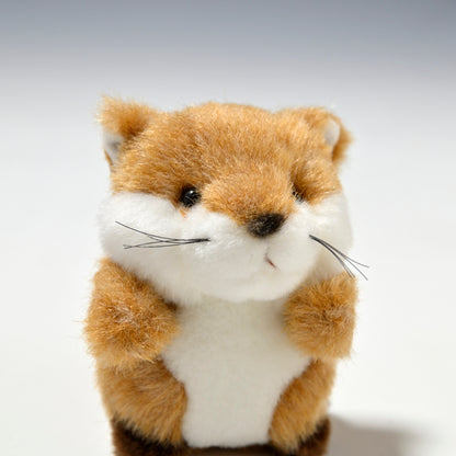 たけのこ TAKENOKO ぬいぐるみ プチ森のなかま キツネ 68438 右横顔