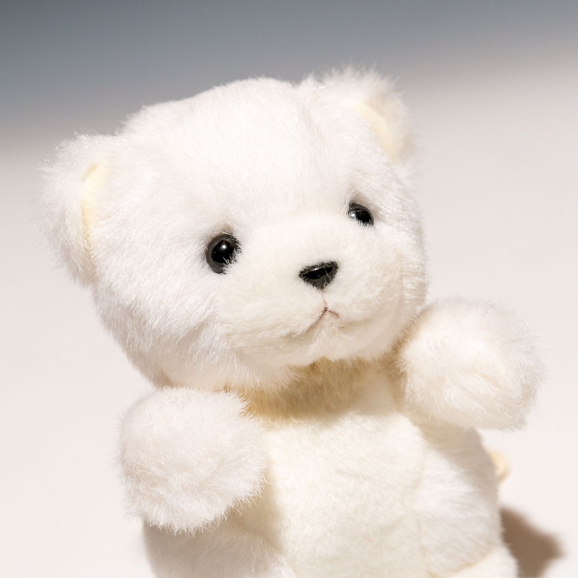 たけのこ TAKENOKO ぬいぐるみ 森のなかま (ミニ) クマ 白 85209 右横顔