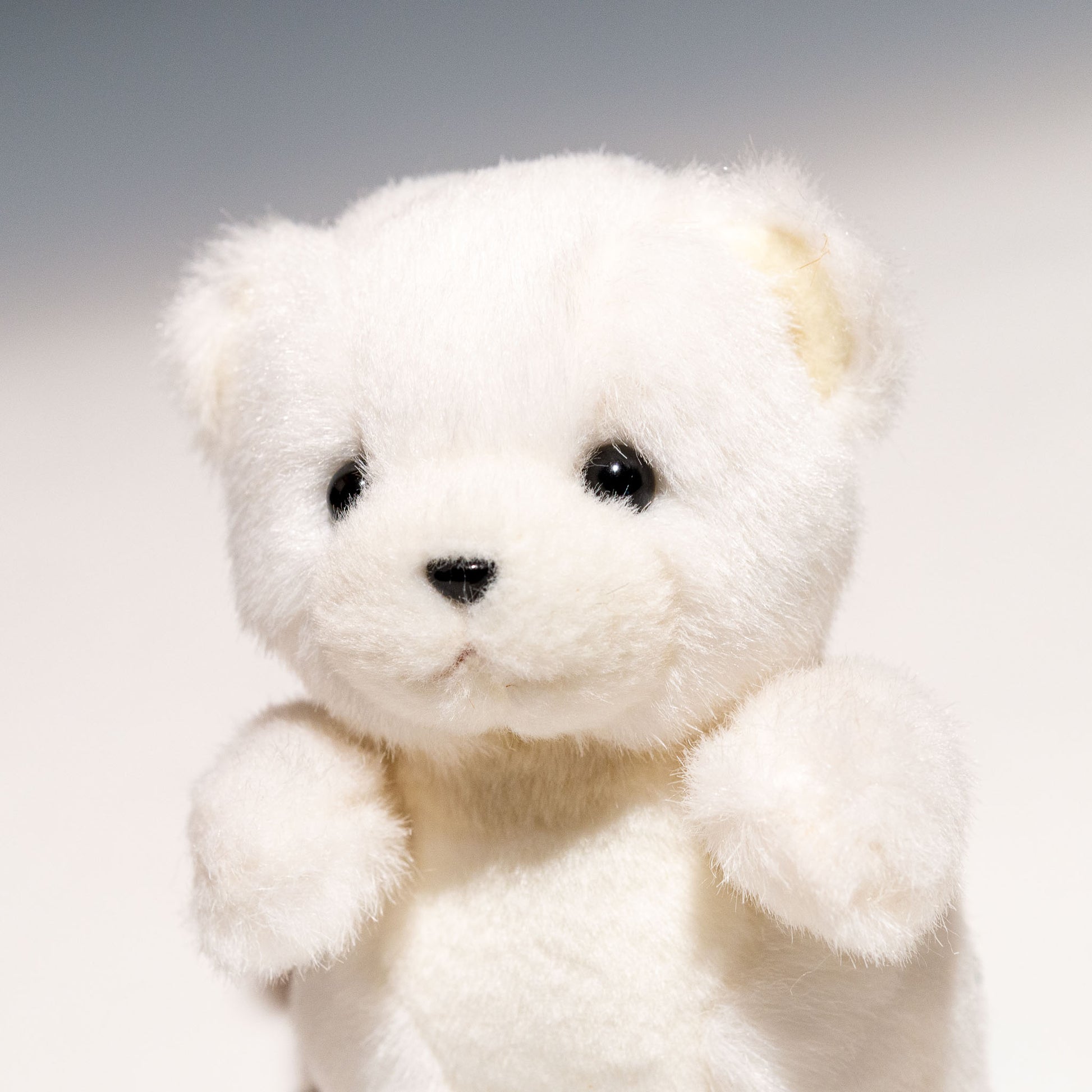 たけのこ TAKENOKO ぬいぐるみ 森のなかま (ミニ) クマ 白 85209 左横顔