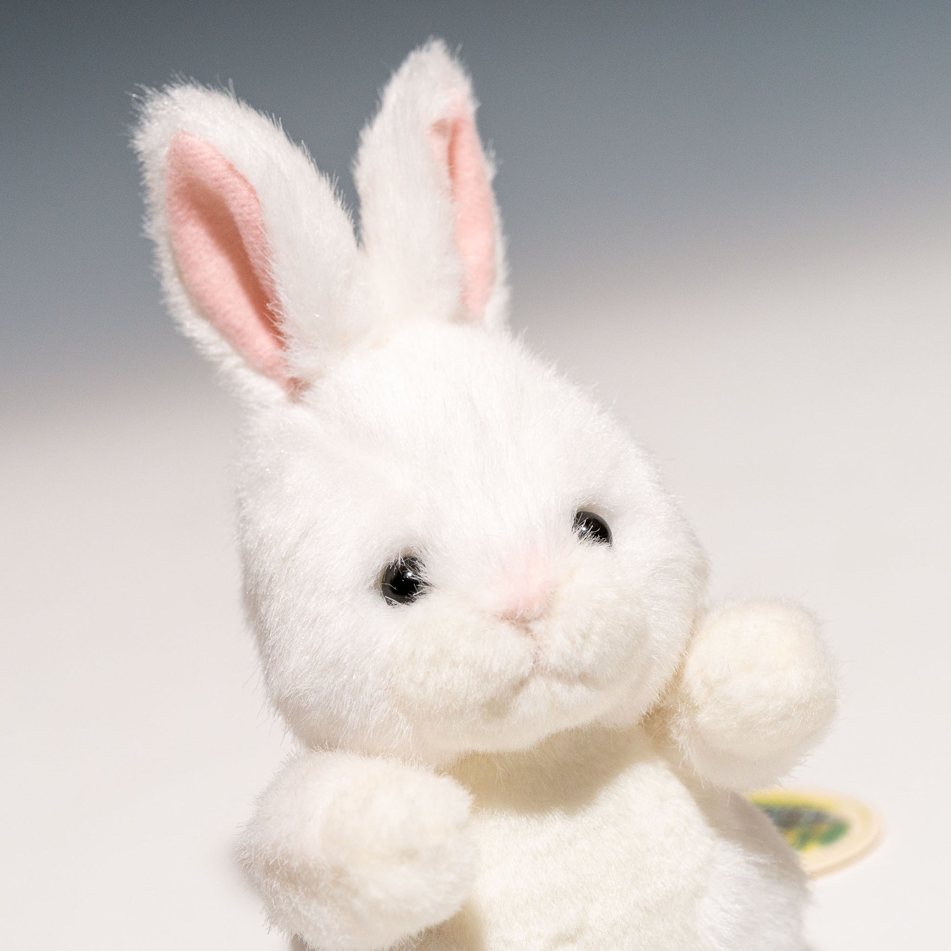 たけのこ TAKENOKO ぬいぐるみ 森のなかま (ミニ) ウサギ 白 85214 右横顔
