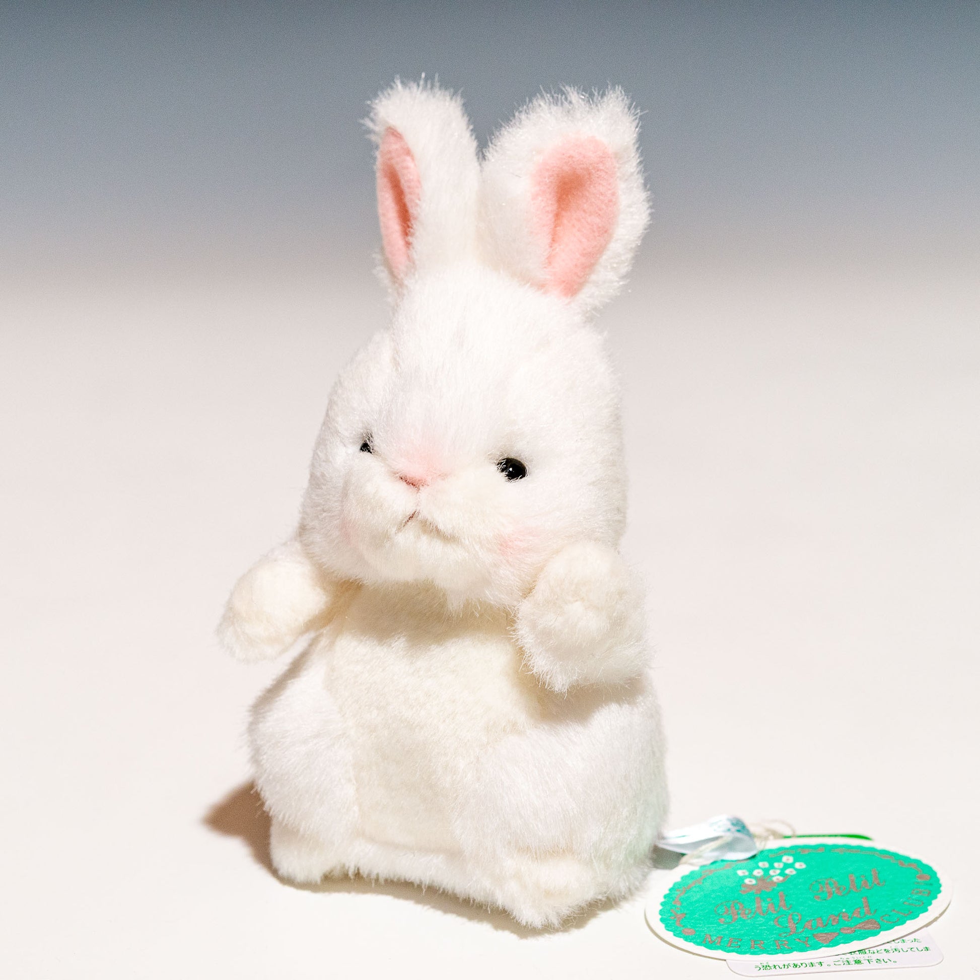 たけのこ TAKENOKO ぬいぐるみ プチプチらんど 森のなかま ウサギ 白 58452 正面