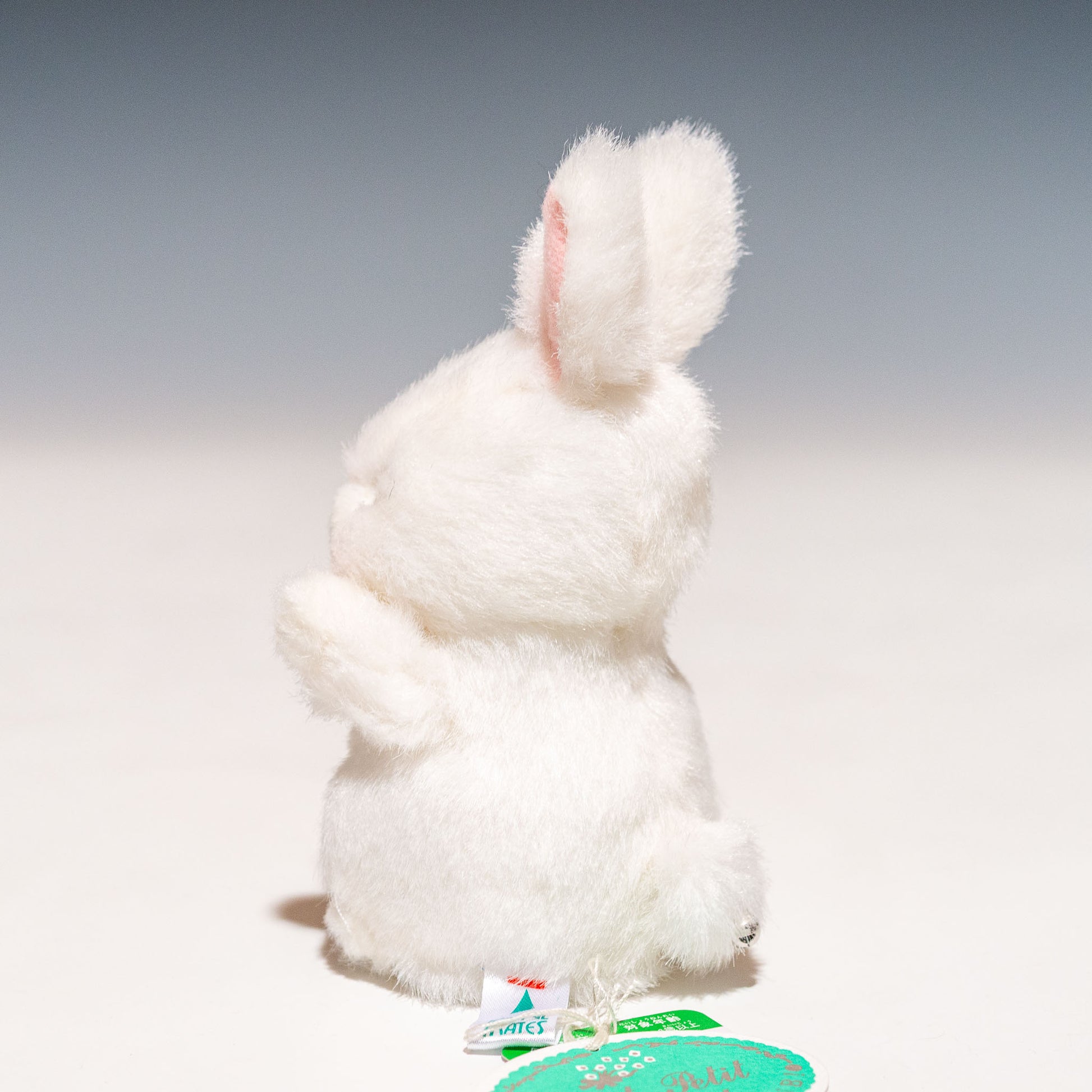 たけのこ TAKENOKO ぬいぐるみ プチプチらんど 森のなかま ウサギ 白 58452 右横