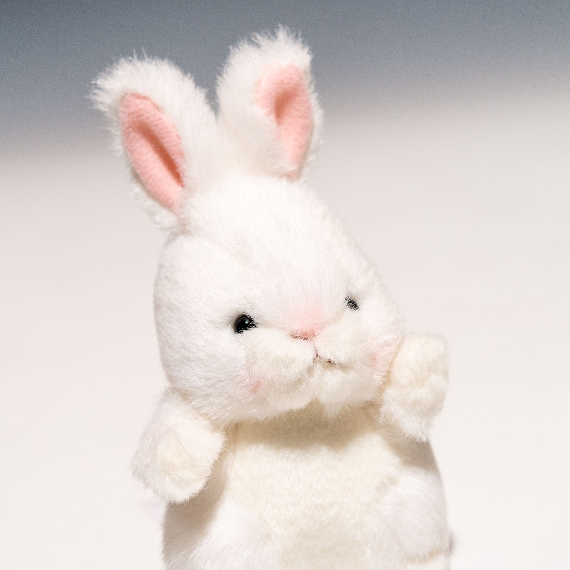 たけのこ TAKENOKO ぬいぐるみ プチプチらんど 森のなかま ウサギ 白 58452 右横顔