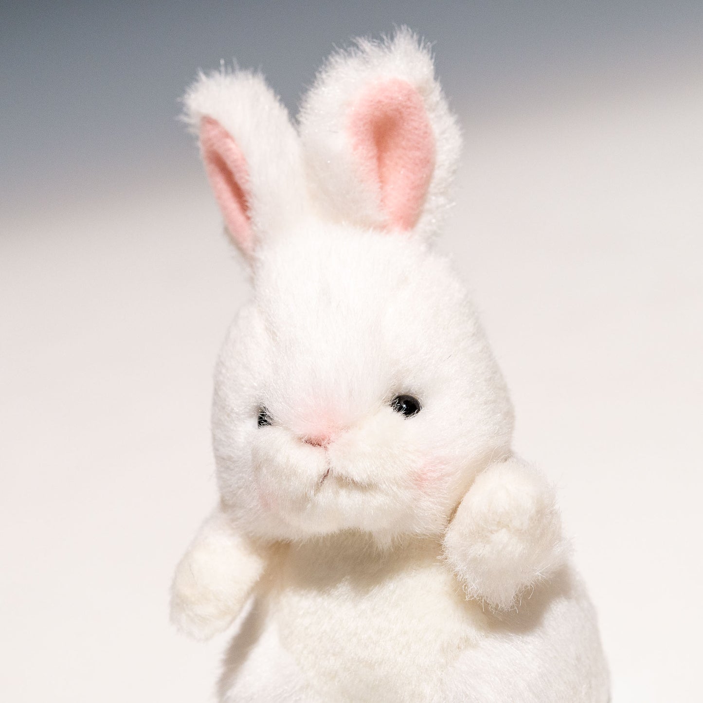 たけのこ TAKENOKO ぬいぐるみ プチプチらんど 森のなかま ウサギ 白 58452 左横顔