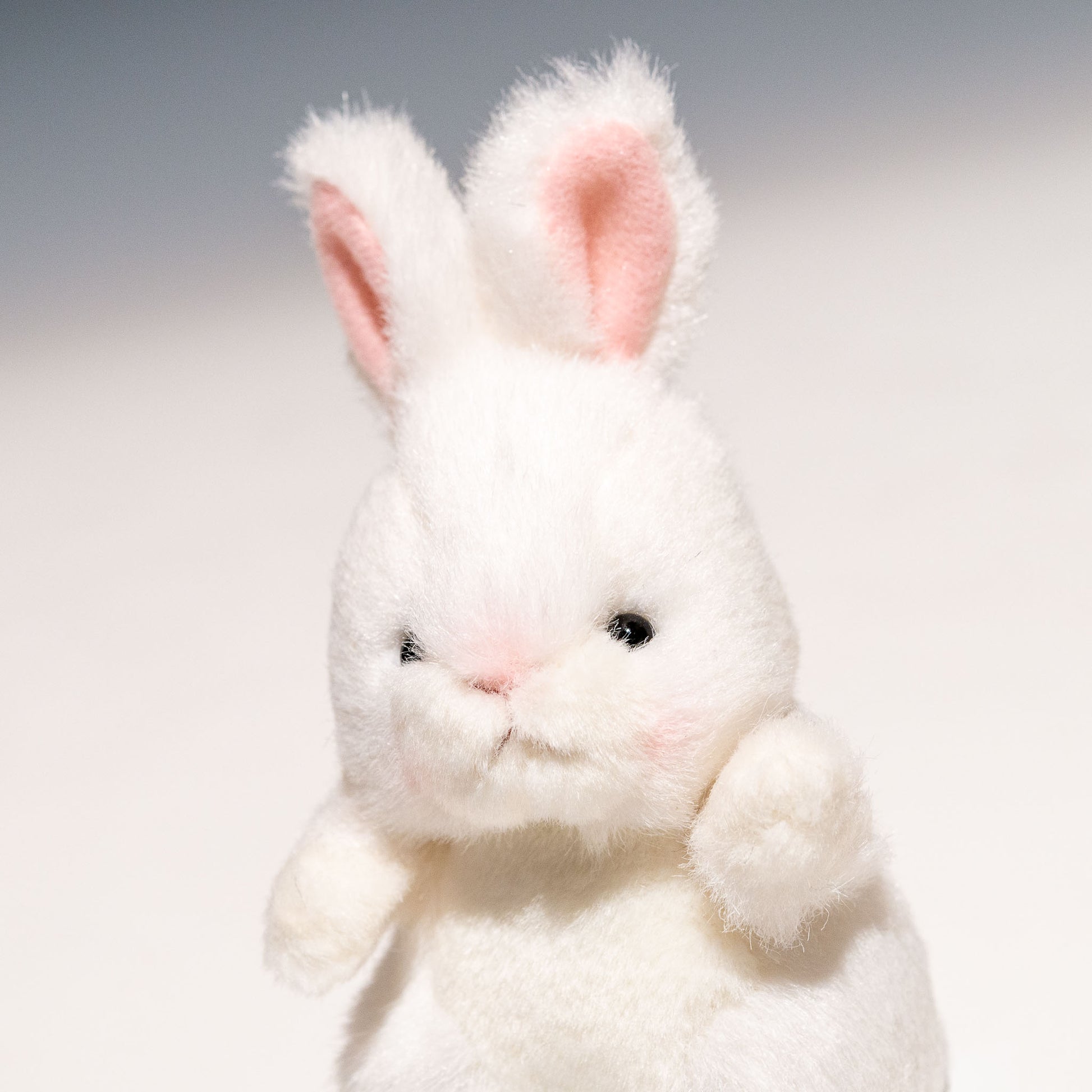 たけのこ TAKENOKO ぬいぐるみ プチプチらんど 森のなかま ウサギ 白 58452 左横顔