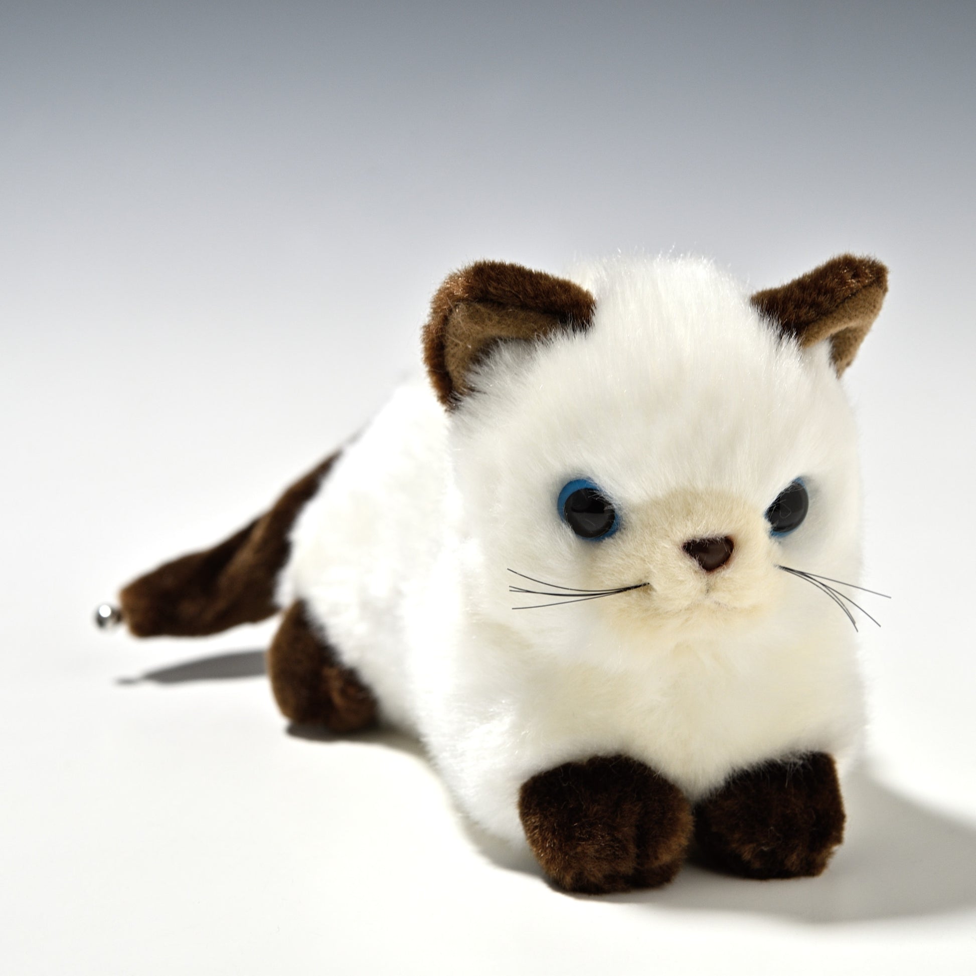 たけのこ TAKENOKO ぬいぐるみ プチどりーむ ミニ (A) シャムネコ 95029 正面