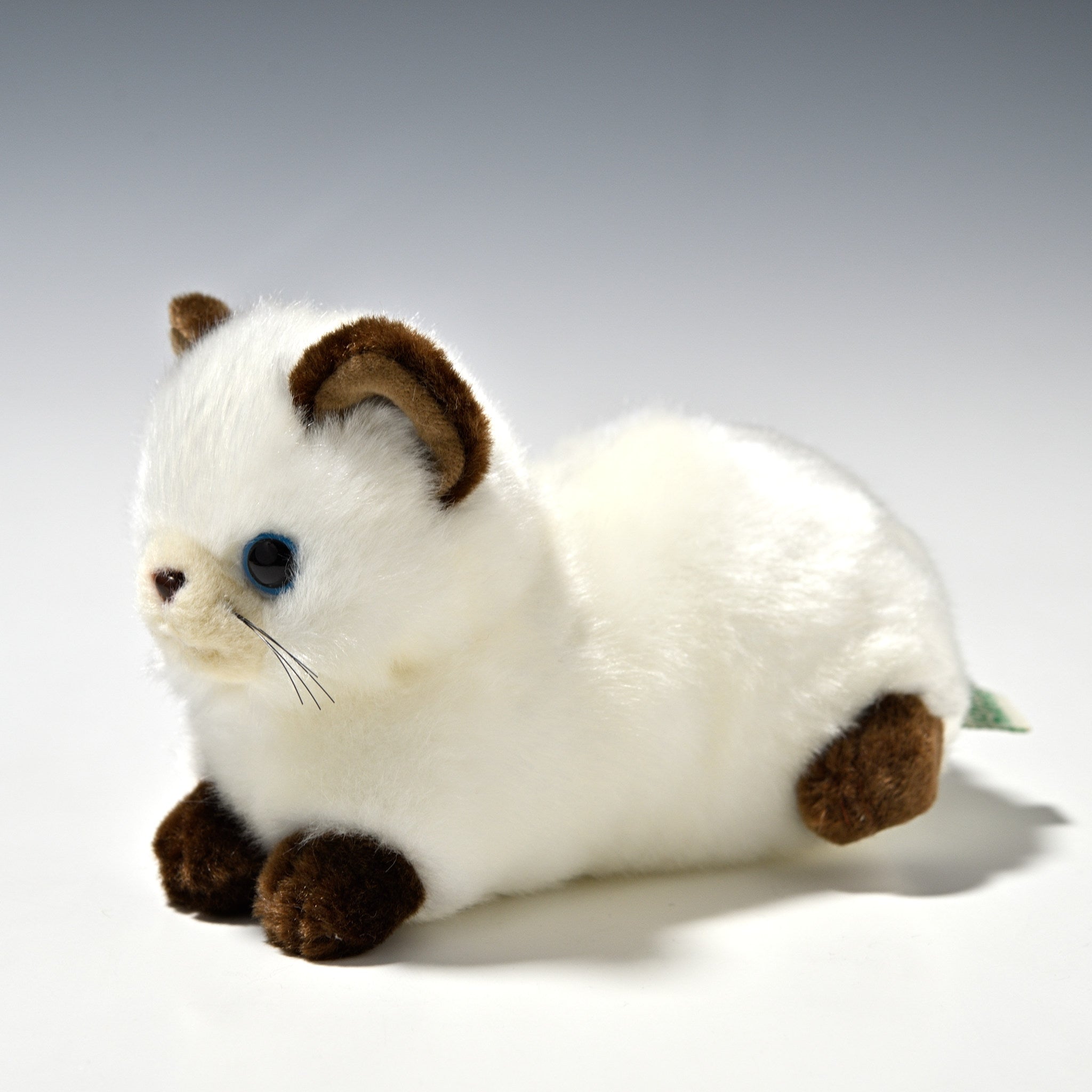 たけのこ TAKENOKO ぬいぐるみ プチどりーむ ミニ (A) シャムネコ
