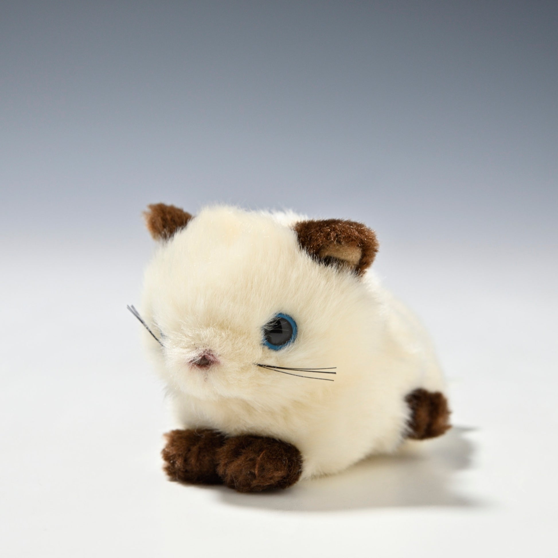 たけのこ TAKENOKO ぬいぐるみ プチプチらんど (A) シャムネコ 58453 正面