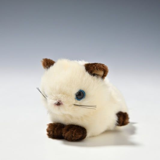 たけのこ TAKENOKO ぬいぐるみ プチプチらんど (A) シャムネコ 58453 正面