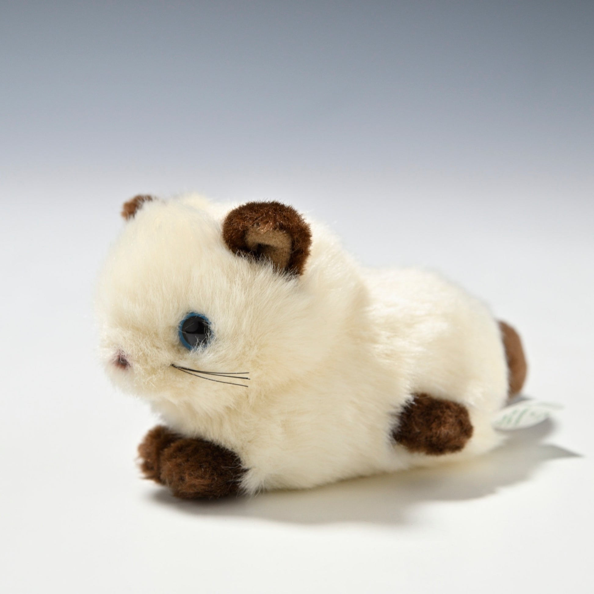 たけのこ TAKENOKO ぬいぐるみ プチプチらんど (A) シャムネコ 58453 右横