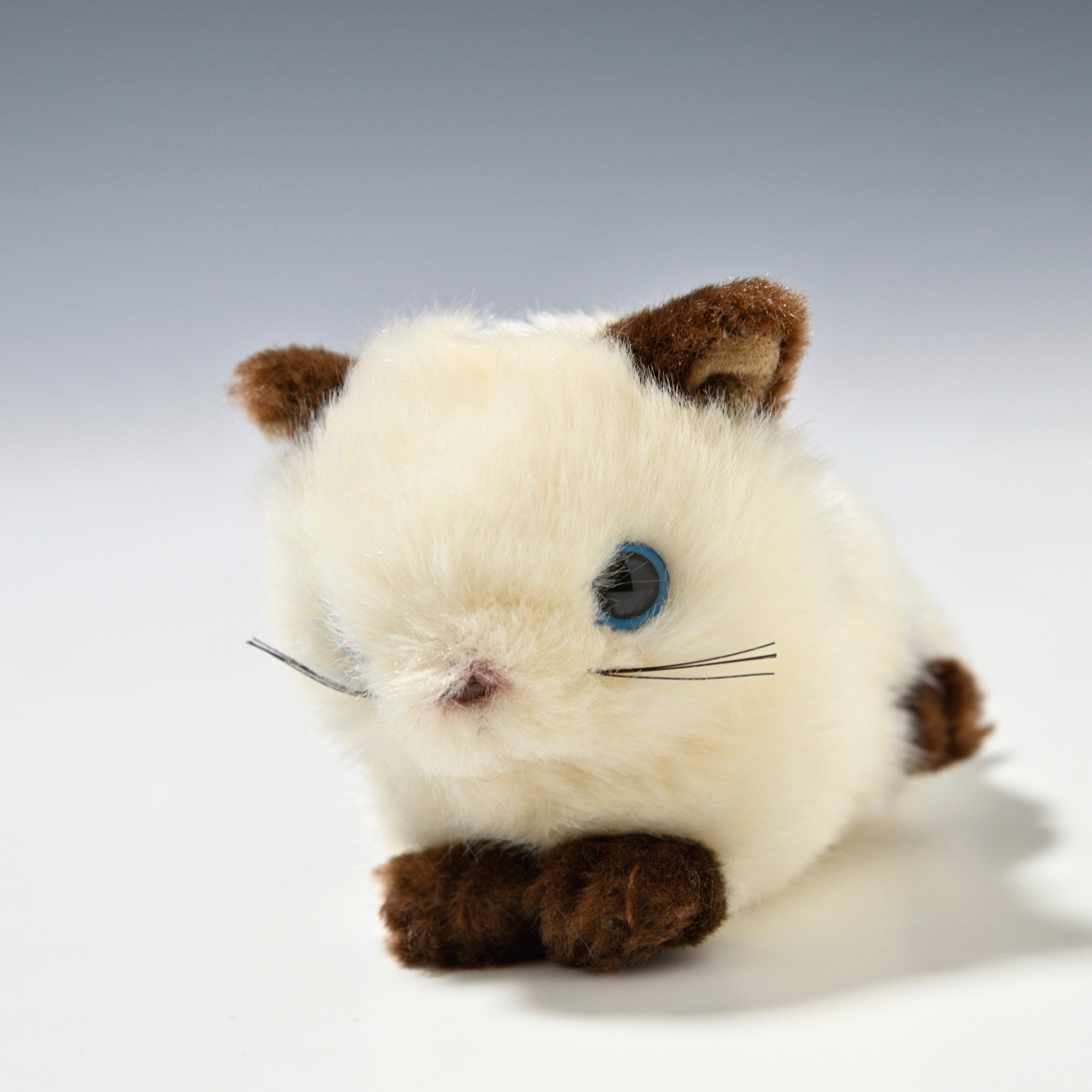 たけのこ TAKENOKO ぬいぐるみ プチプチらんど (A) シャムネコ 58453