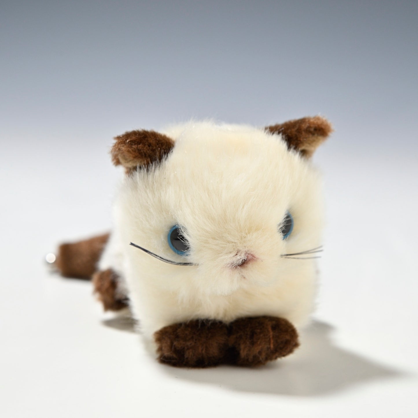 たけのこ TAKENOKO ぬいぐるみ プチプチらんど (A) シャムネコ 58453 右横顔